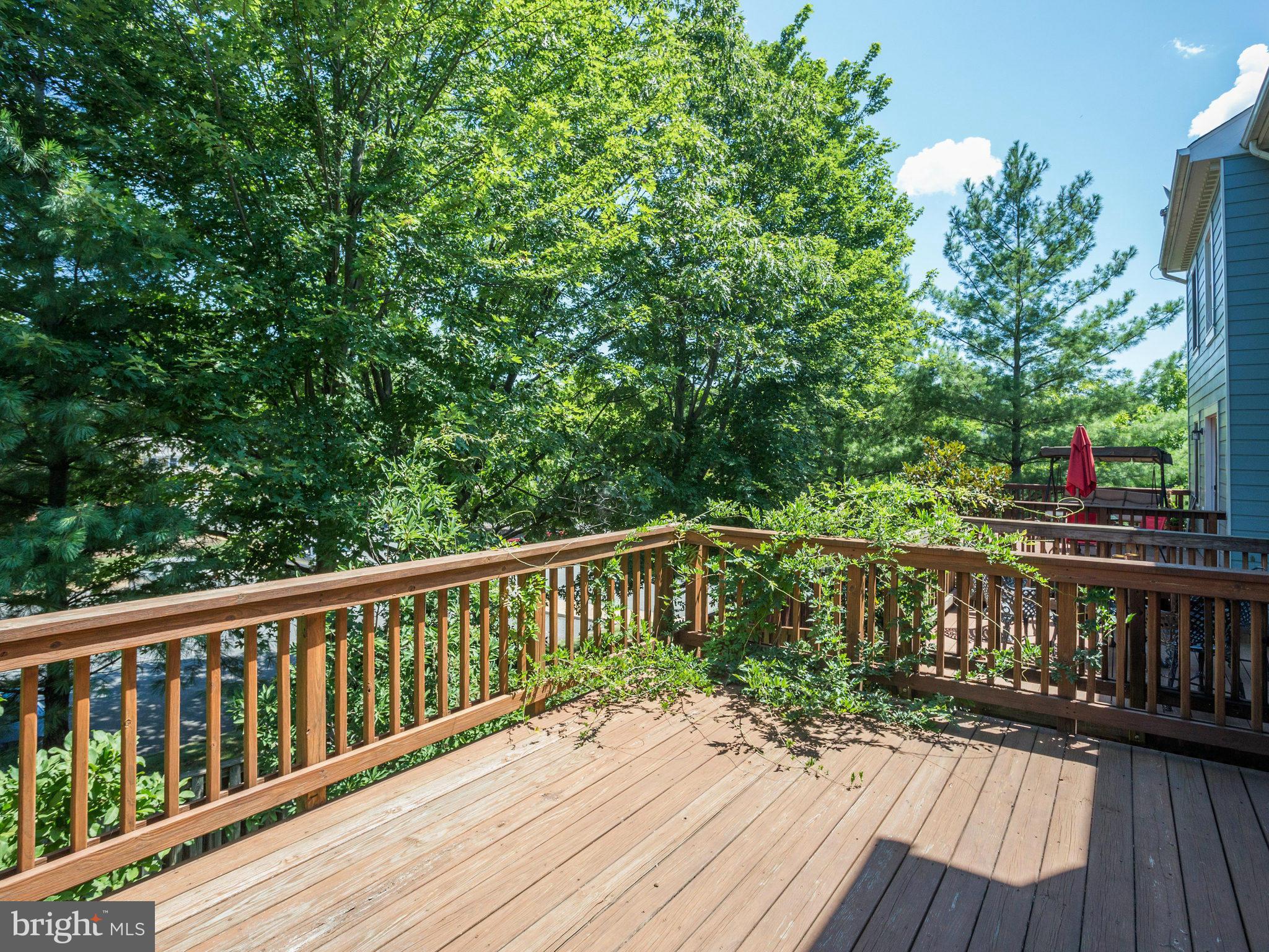 DRYMILL - Residential