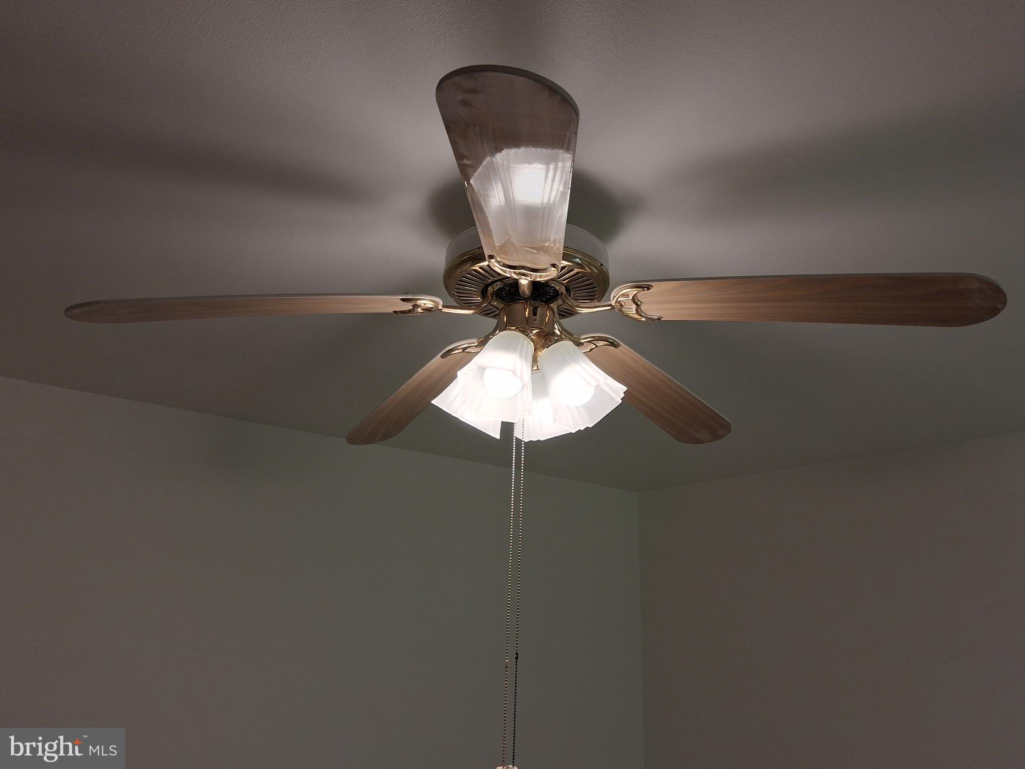 HYDE PARK - Residential