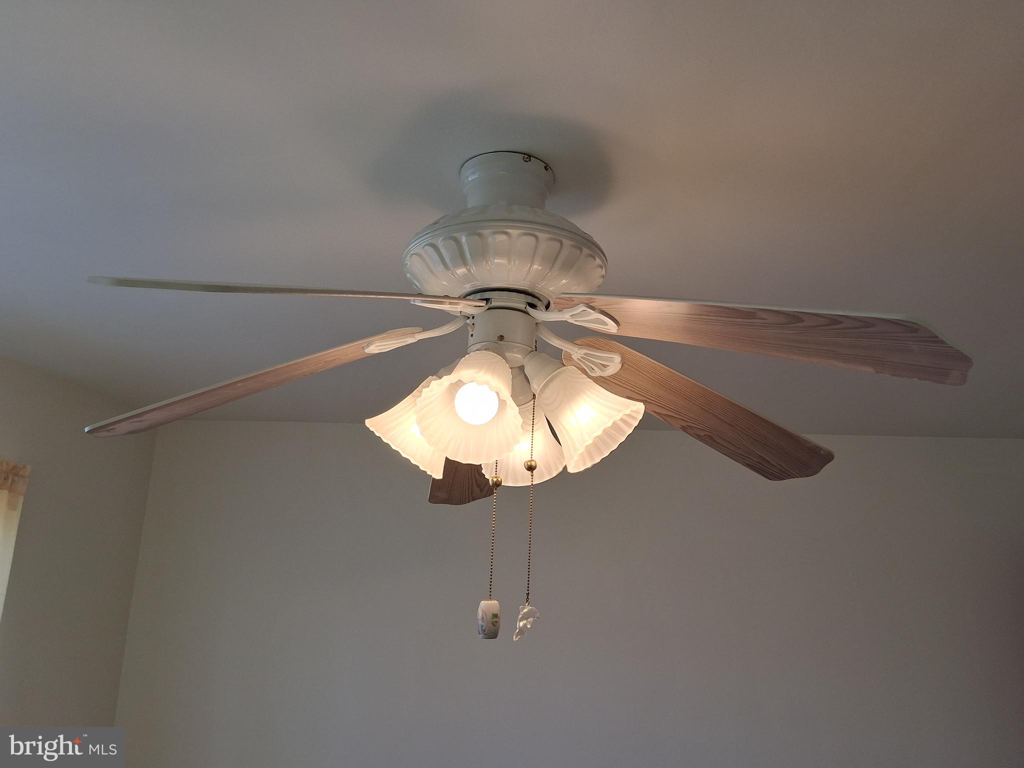 HYDE PARK - Residential