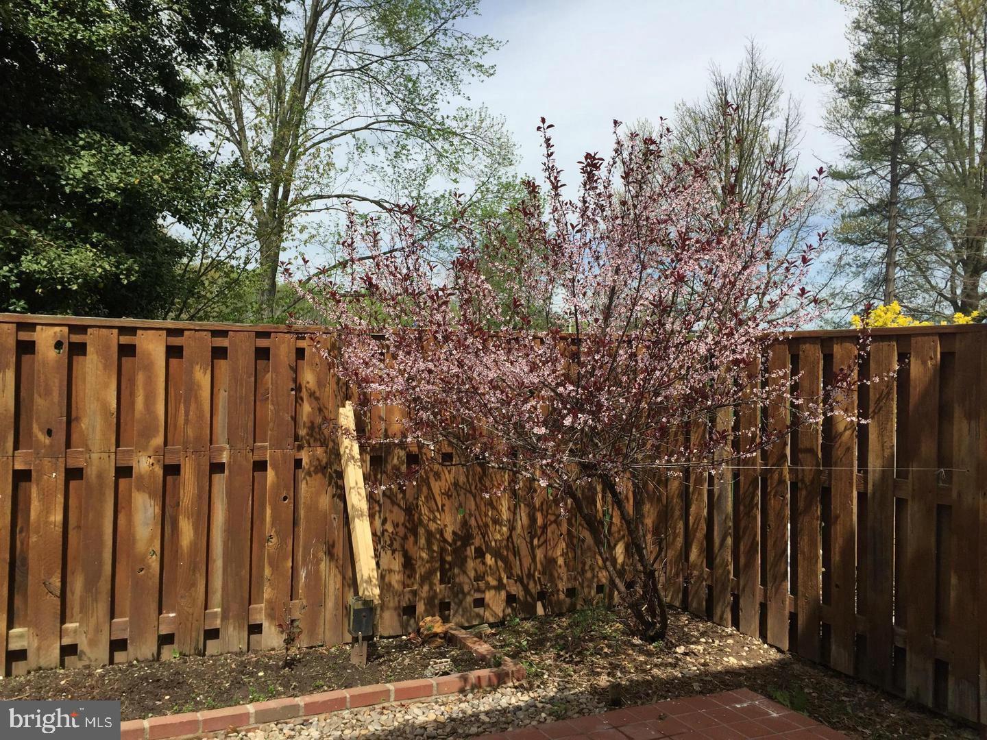 RESTON - Residential Lease