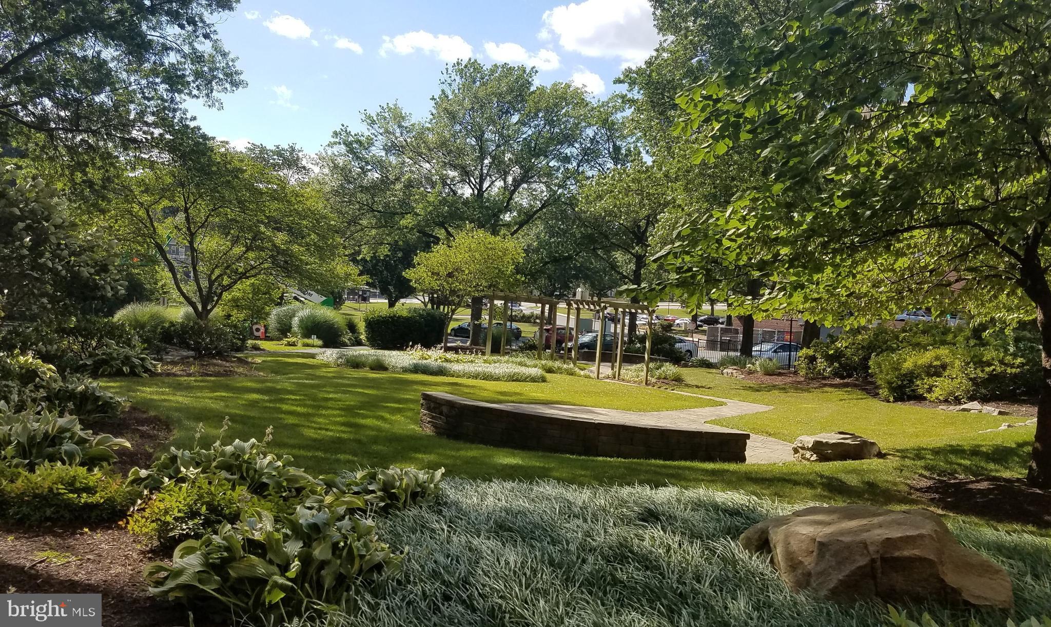 TAKOMA PARK - Residential