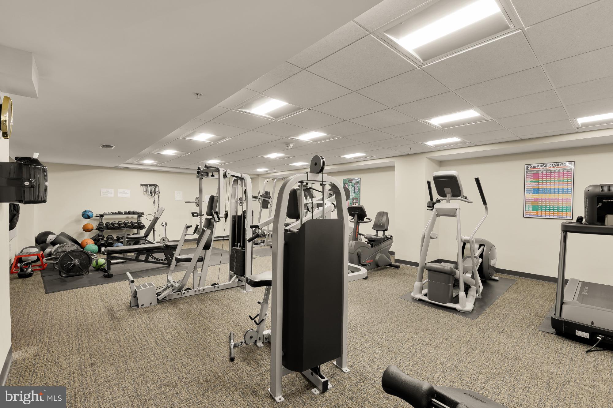 SILVER SPRING - Residential
