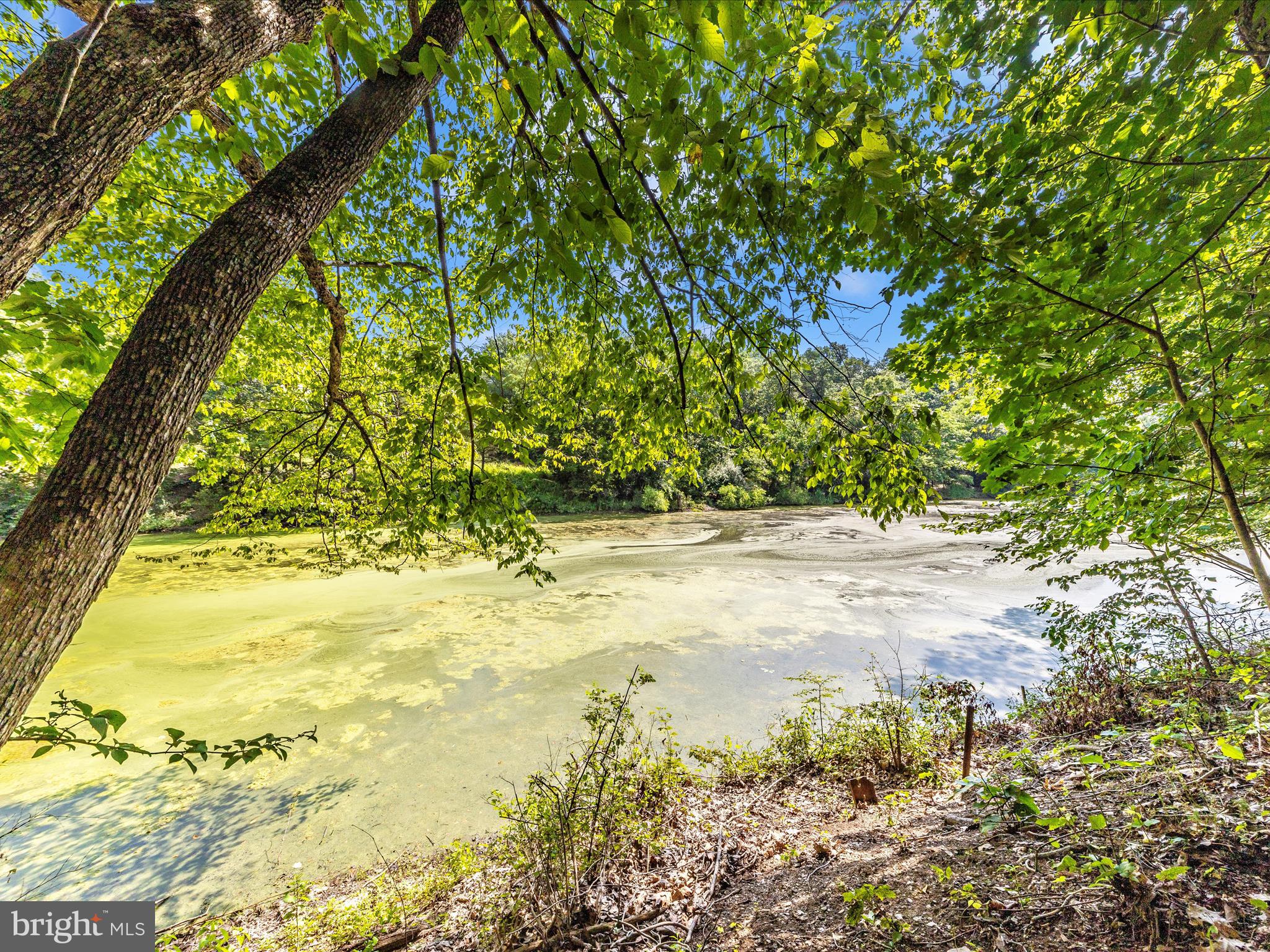 THREE RUN WOODS - Residential