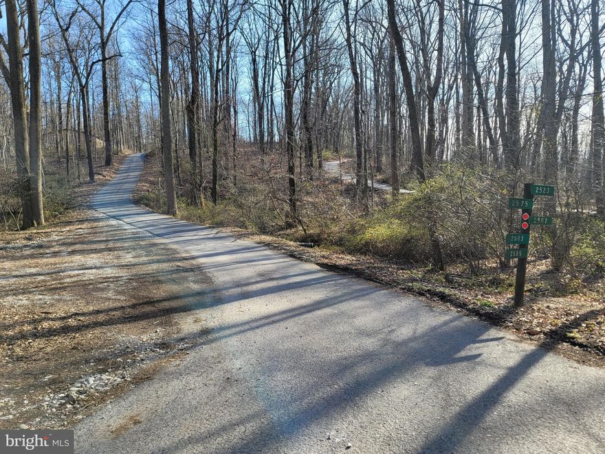 Discover this perfect blend of peace and possibility with this beautiful 15.088-acre wooded lot. Situated perfect and tucked away in a serene natural setting, this property offers endless potential for your dream home. The parcel has approved perc test results (see disclosures) and is currently enrolled in Forest Conservation, with an allotted area available for construction—giving you the best of both worlds: preserved surroundings and space to build.

This property is also listed and a Co-Op with Caruso Homes for a New Construction opportunity, offering 31 customizable models that can be built to your needs on this very lot. Caruso homes carry a reputation for amazing service in the new build industry. Whether you envision a private retreat, family estate, or your forever home amid nature, this scenic property will deliver the ideal foundation for you!