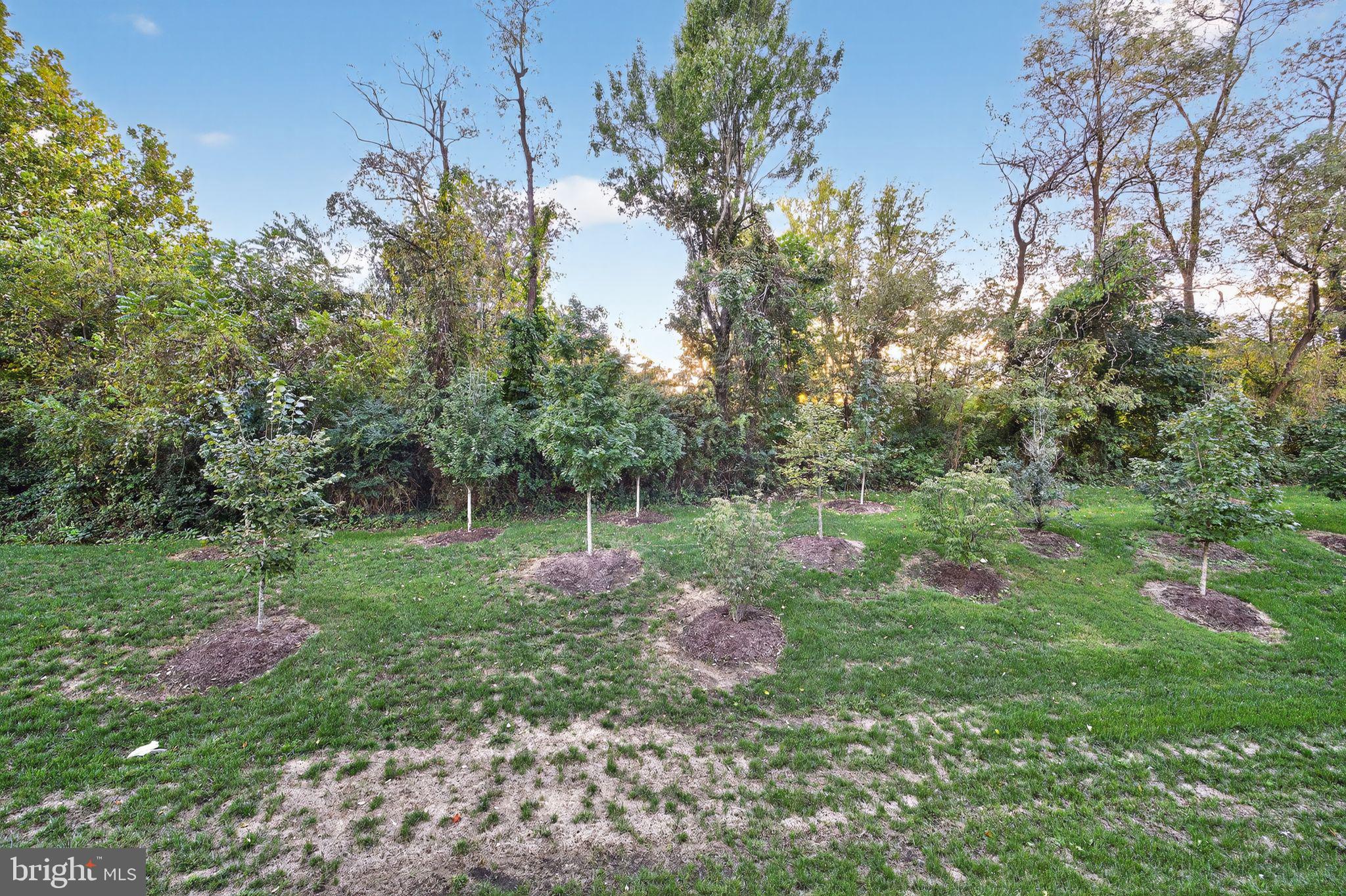 AMBER RIDGE - Residential