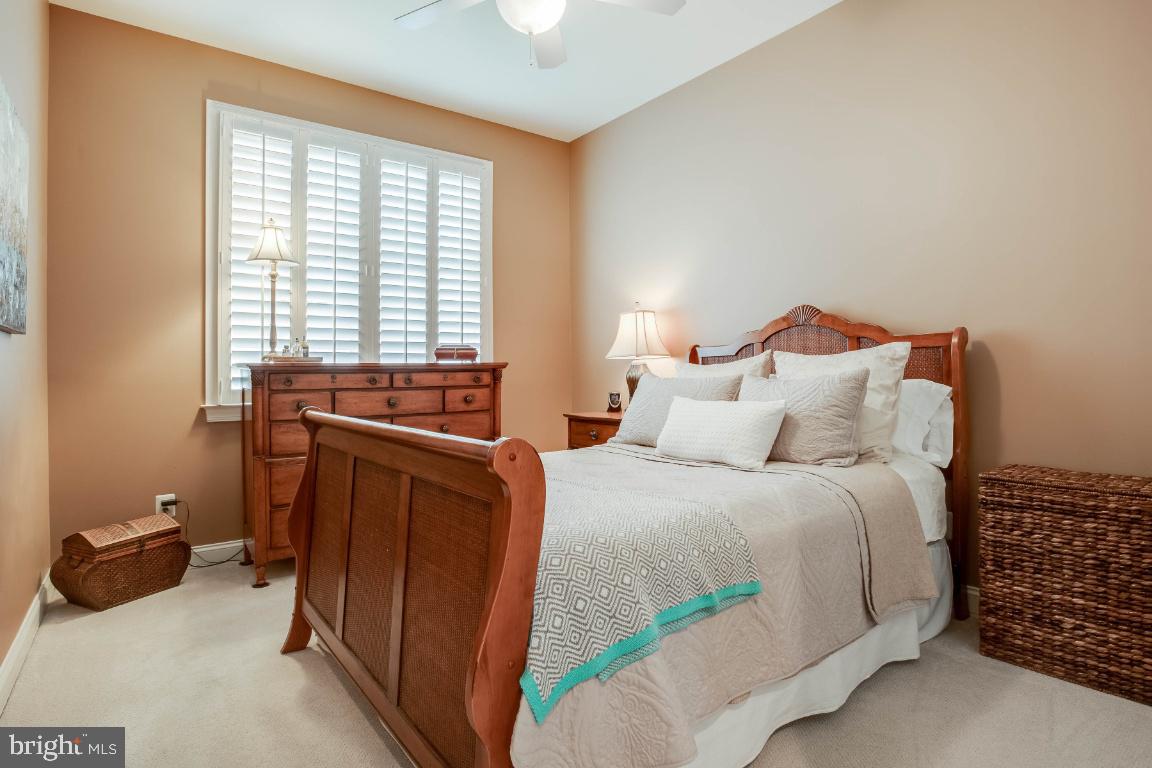 REGENCY AT DOMINION VALLEY - Residential