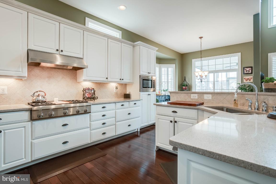 REGENCY AT DOMINION VALLEY - Residential