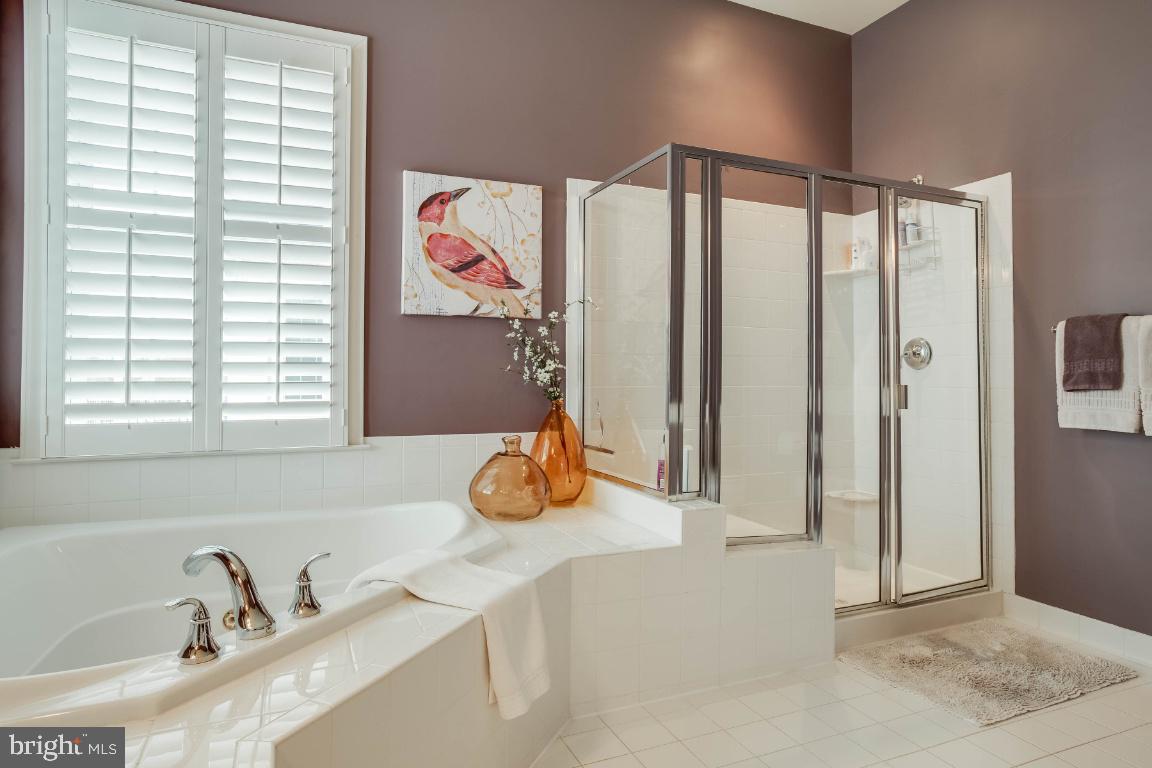 REGENCY AT DOMINION VALLEY - Residential