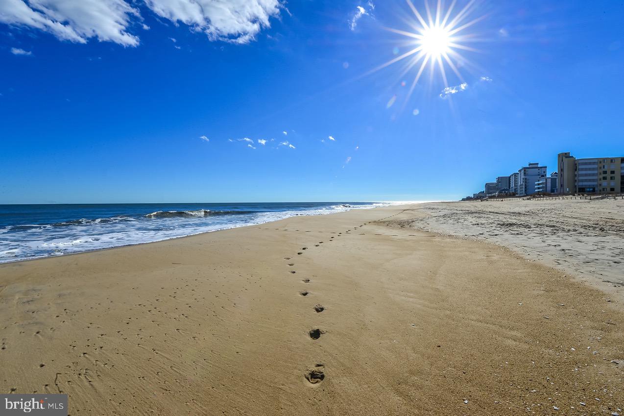 404 SAINT LOUIS AVENUE 12