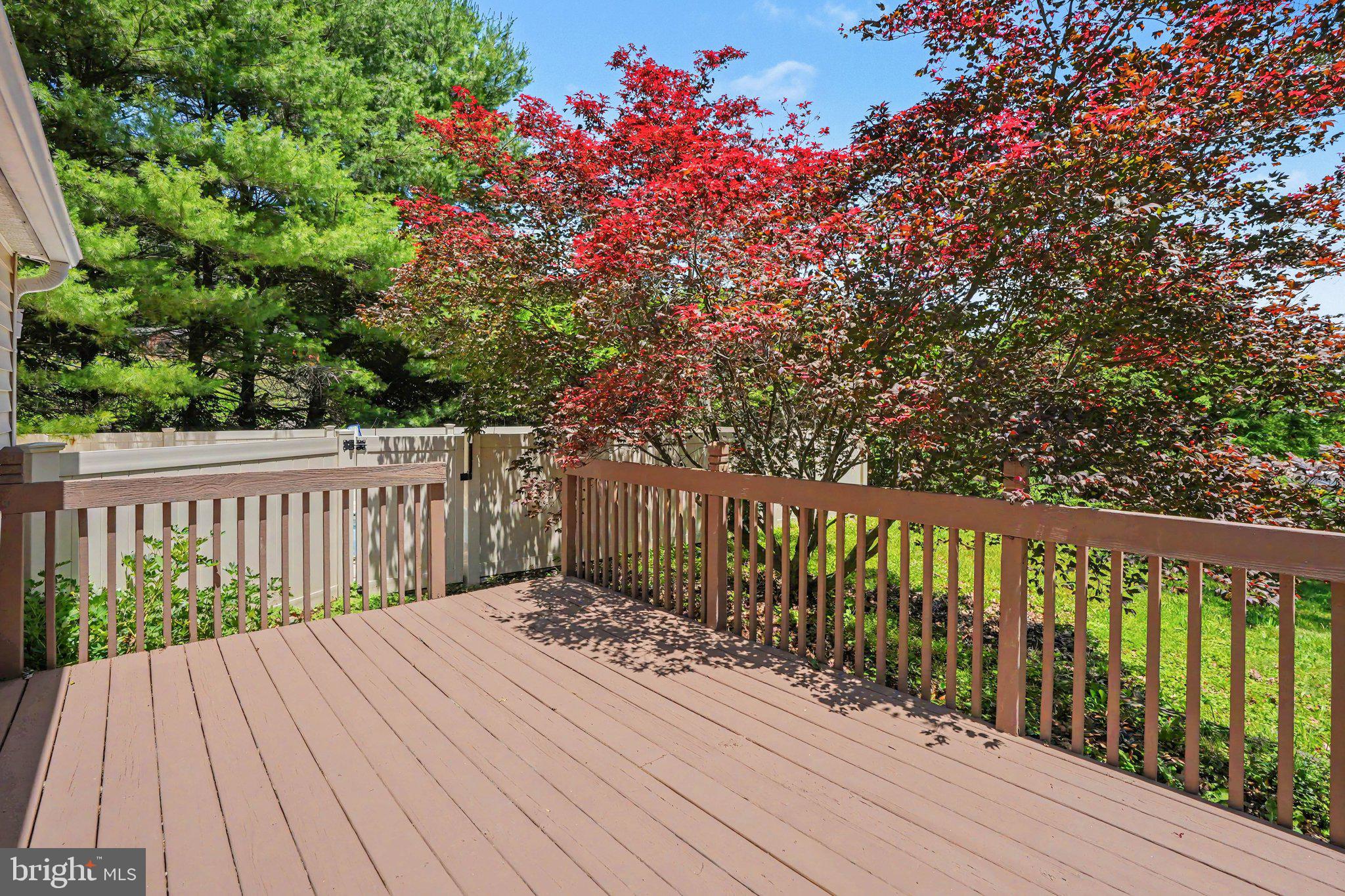 46 PISGAH REST