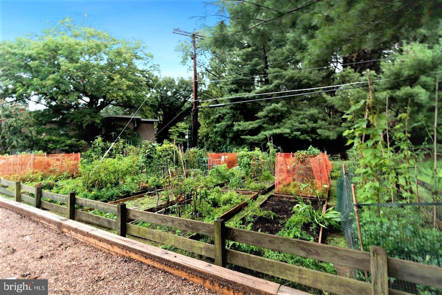 SPRINGLAKE - Residential