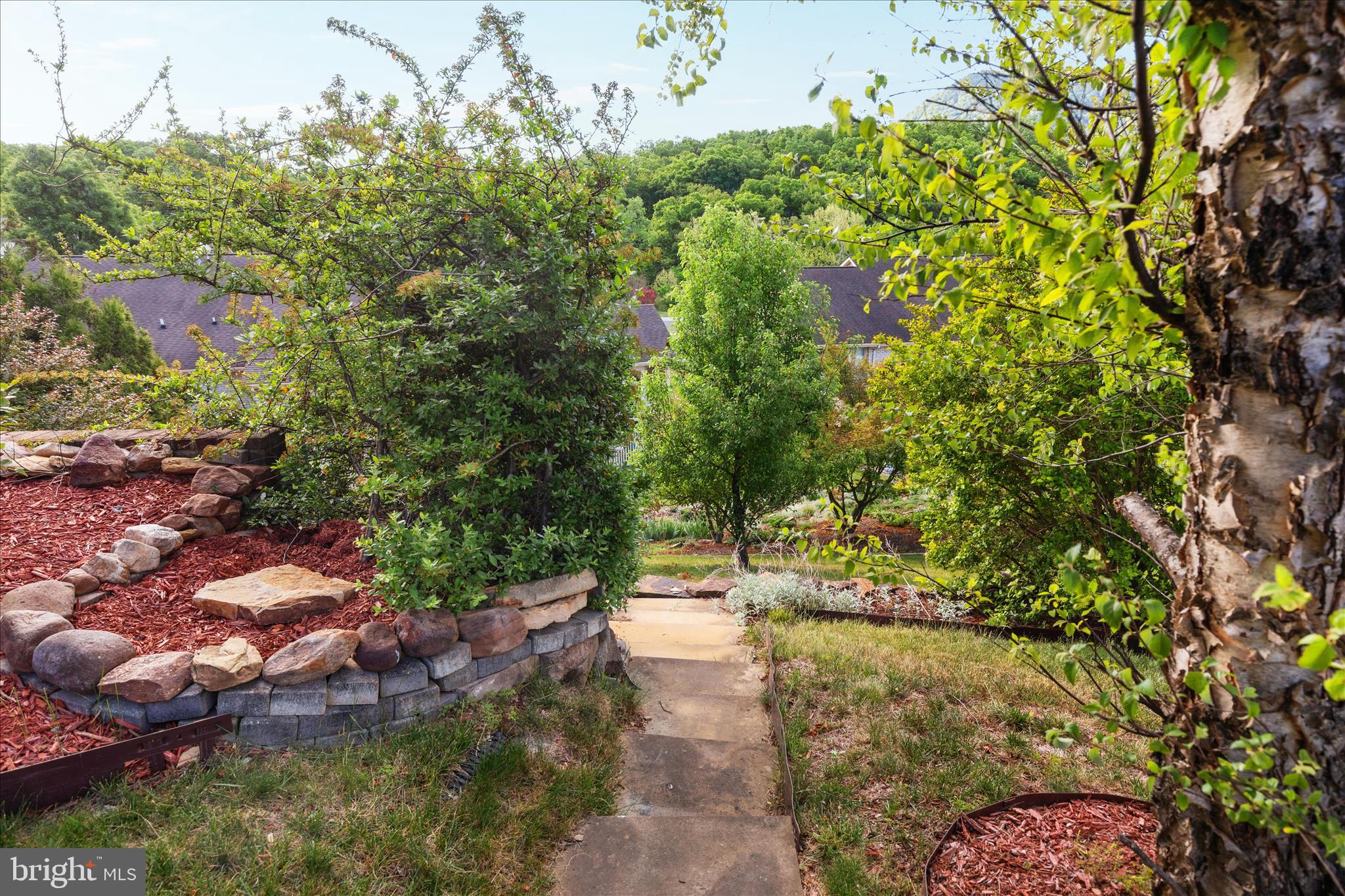 STONY POINTE - Residential