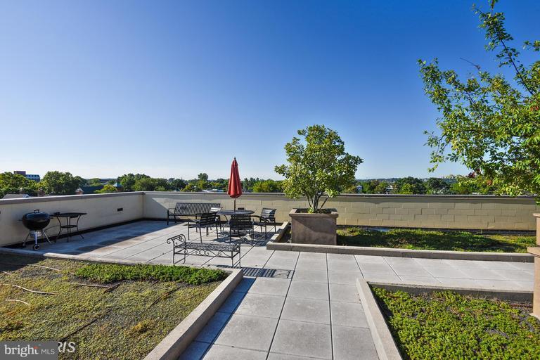 THE MONARCH - Residential