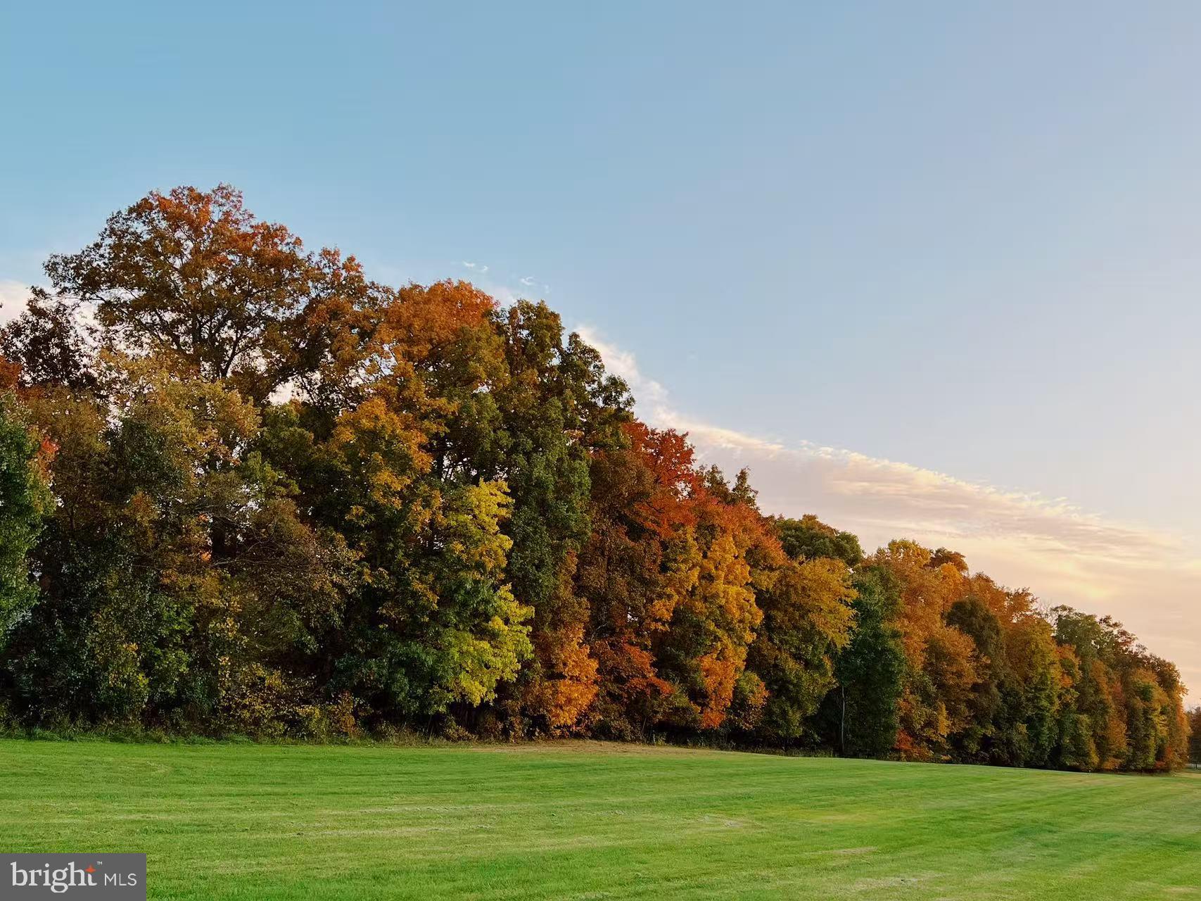 FRANKLIN FARM - Residential