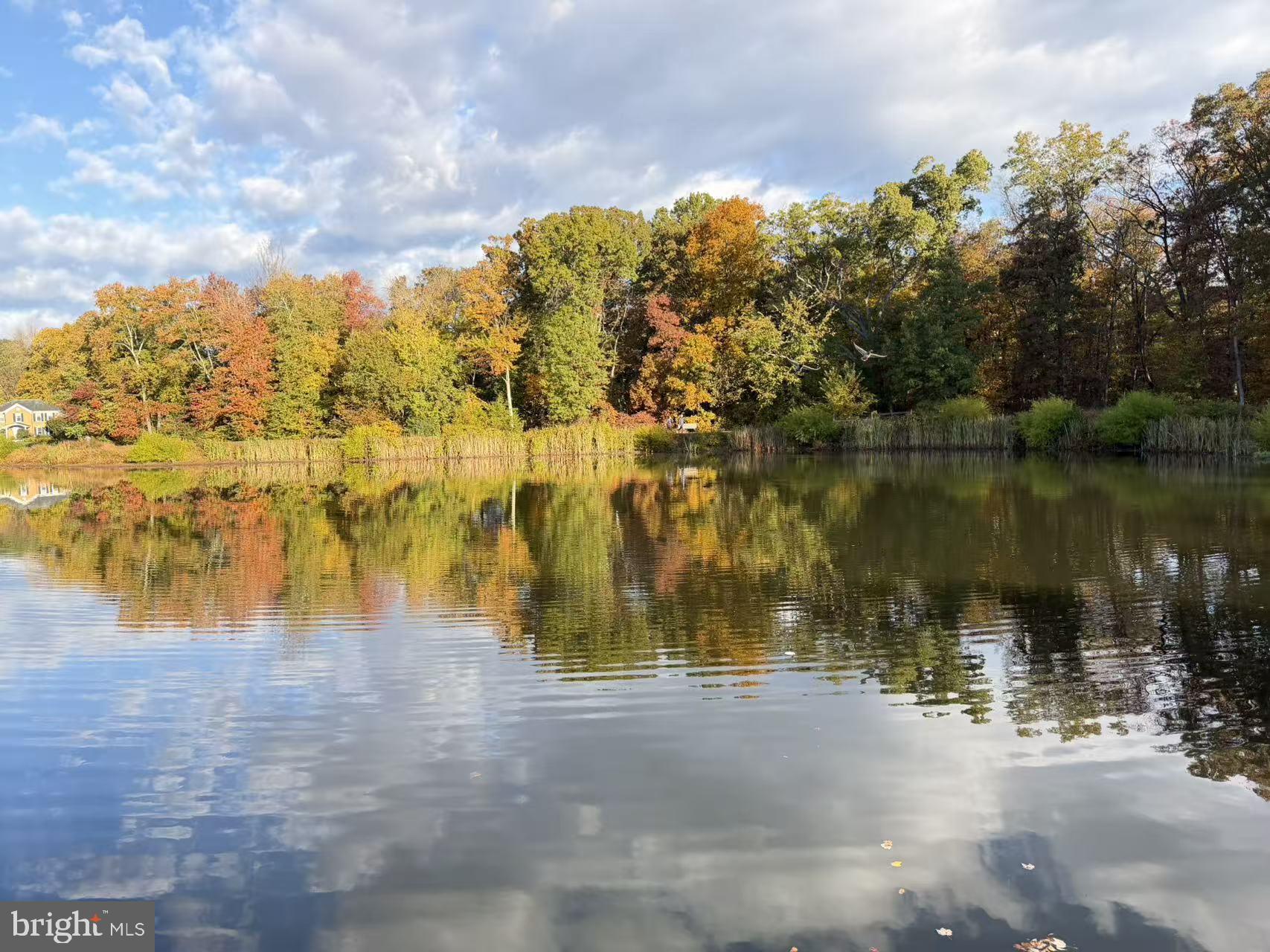 FRANKLIN FARM - Residential
