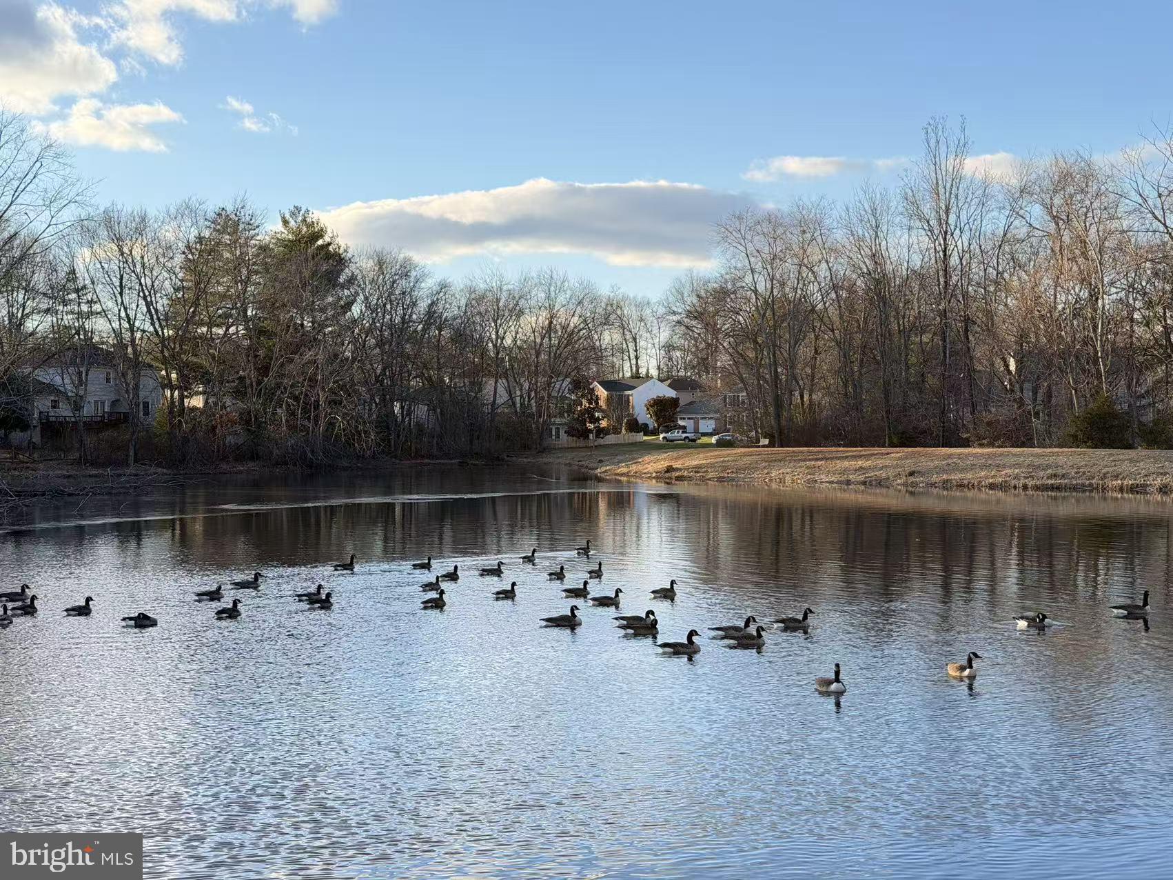 FRANKLIN FARM - Residential