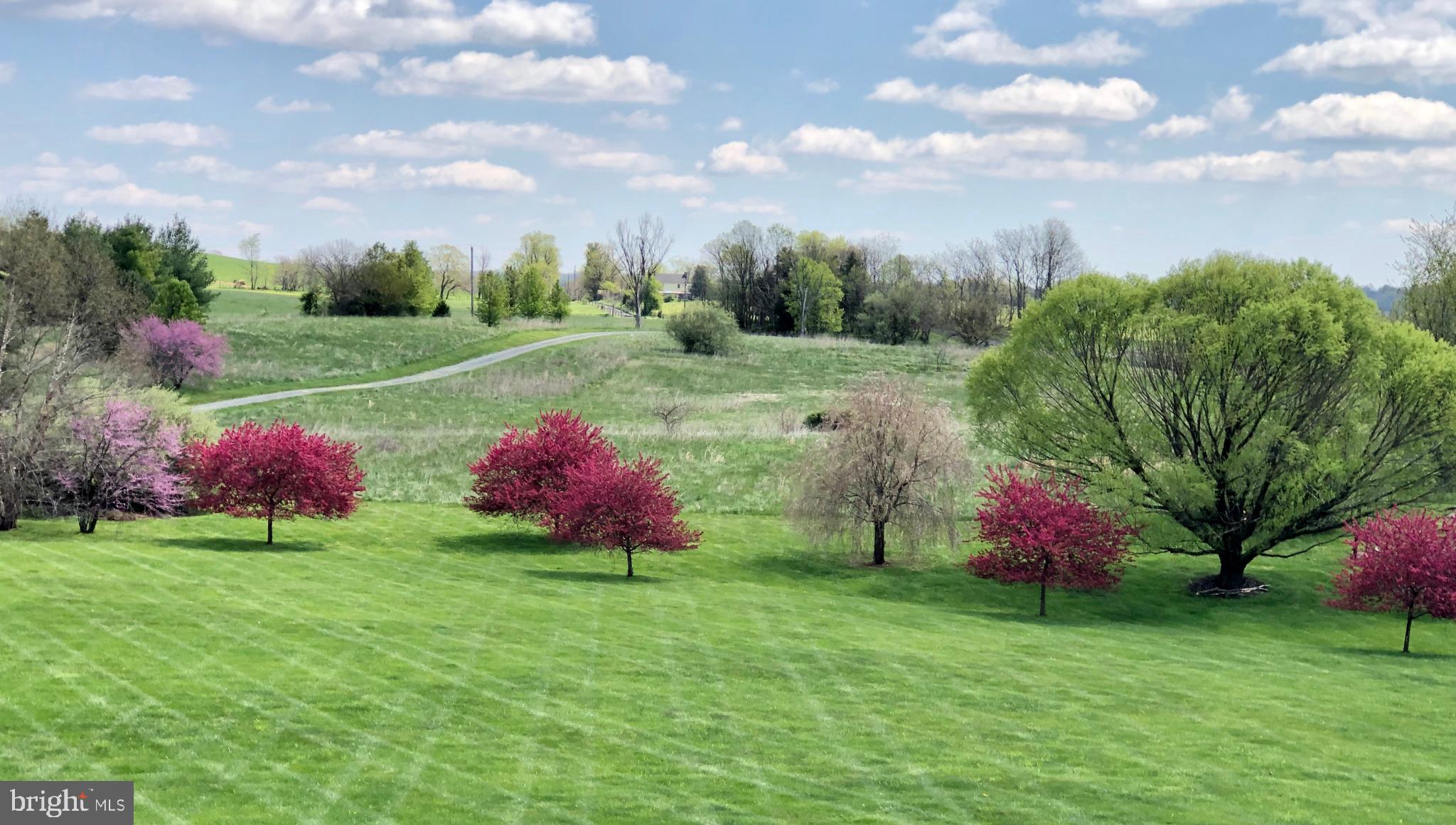 ROCK HILL - Residential