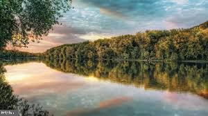 ROCK HILL - Residential