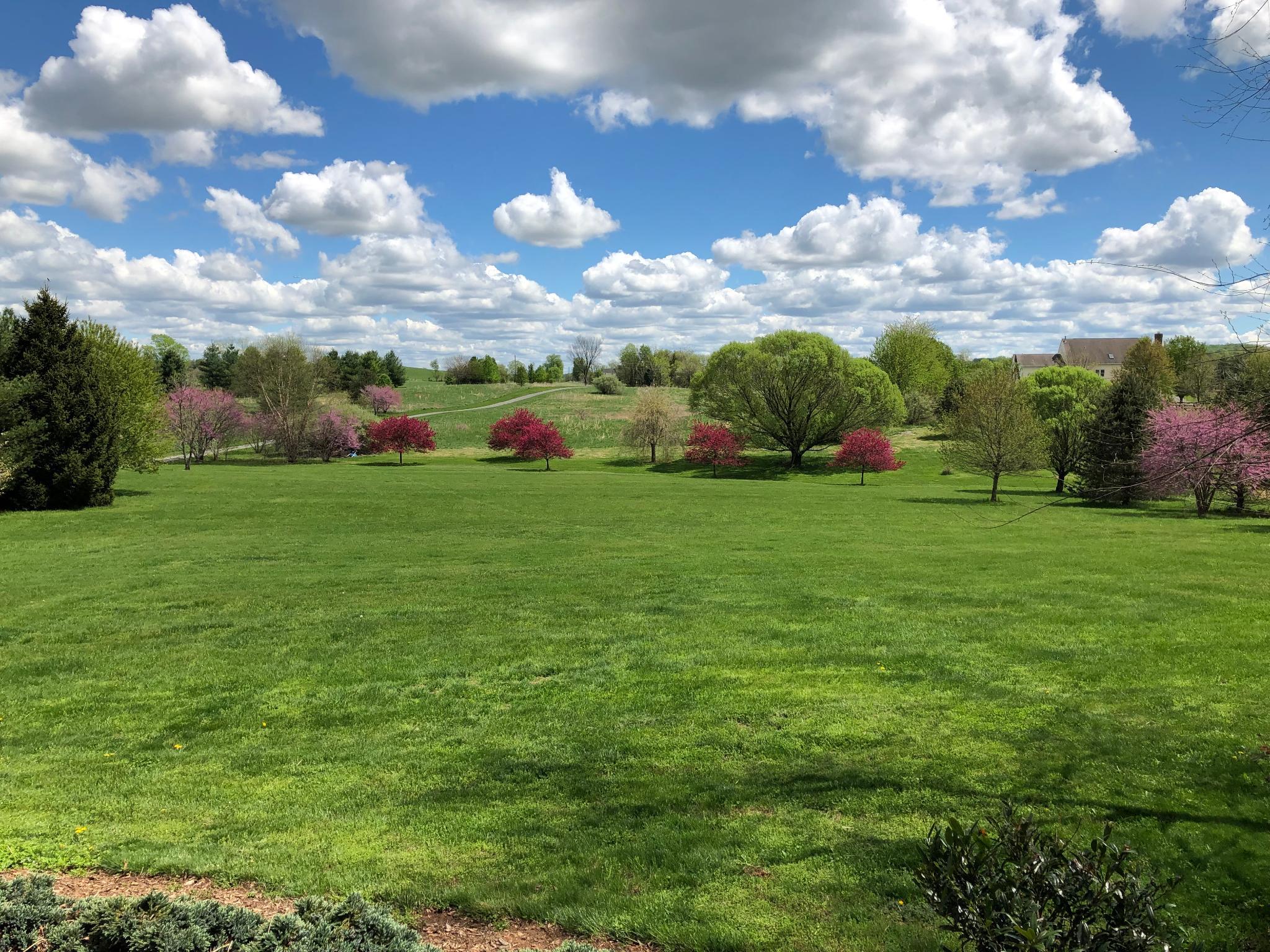 15371 LIMESTONE SCHOOL ROAD