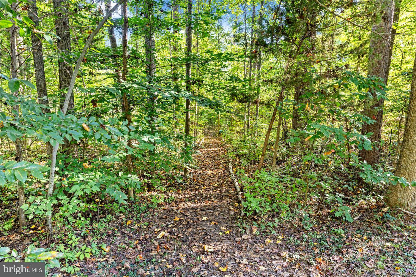 LAKE LAND OR - Residential