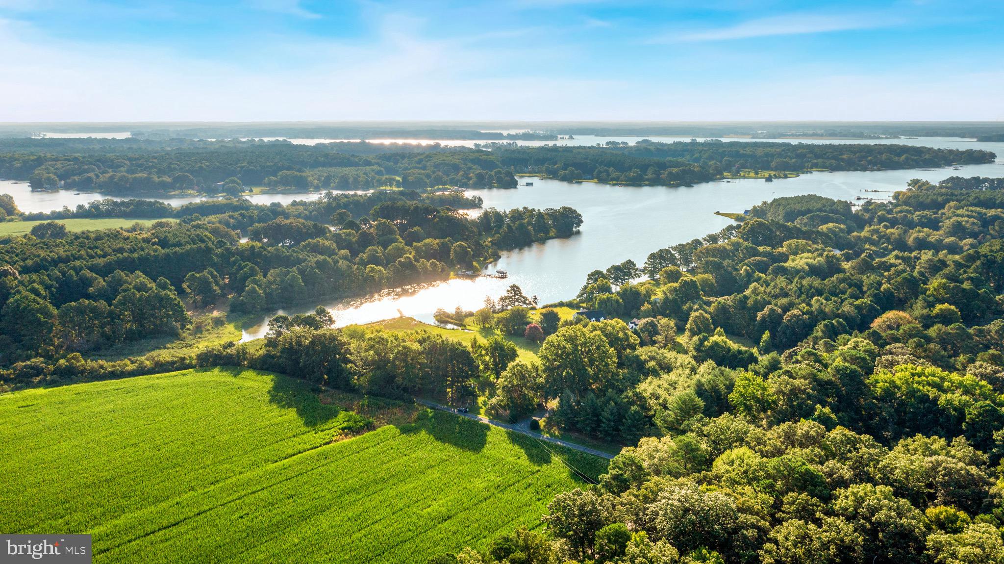 GOOSE NECK - Residential