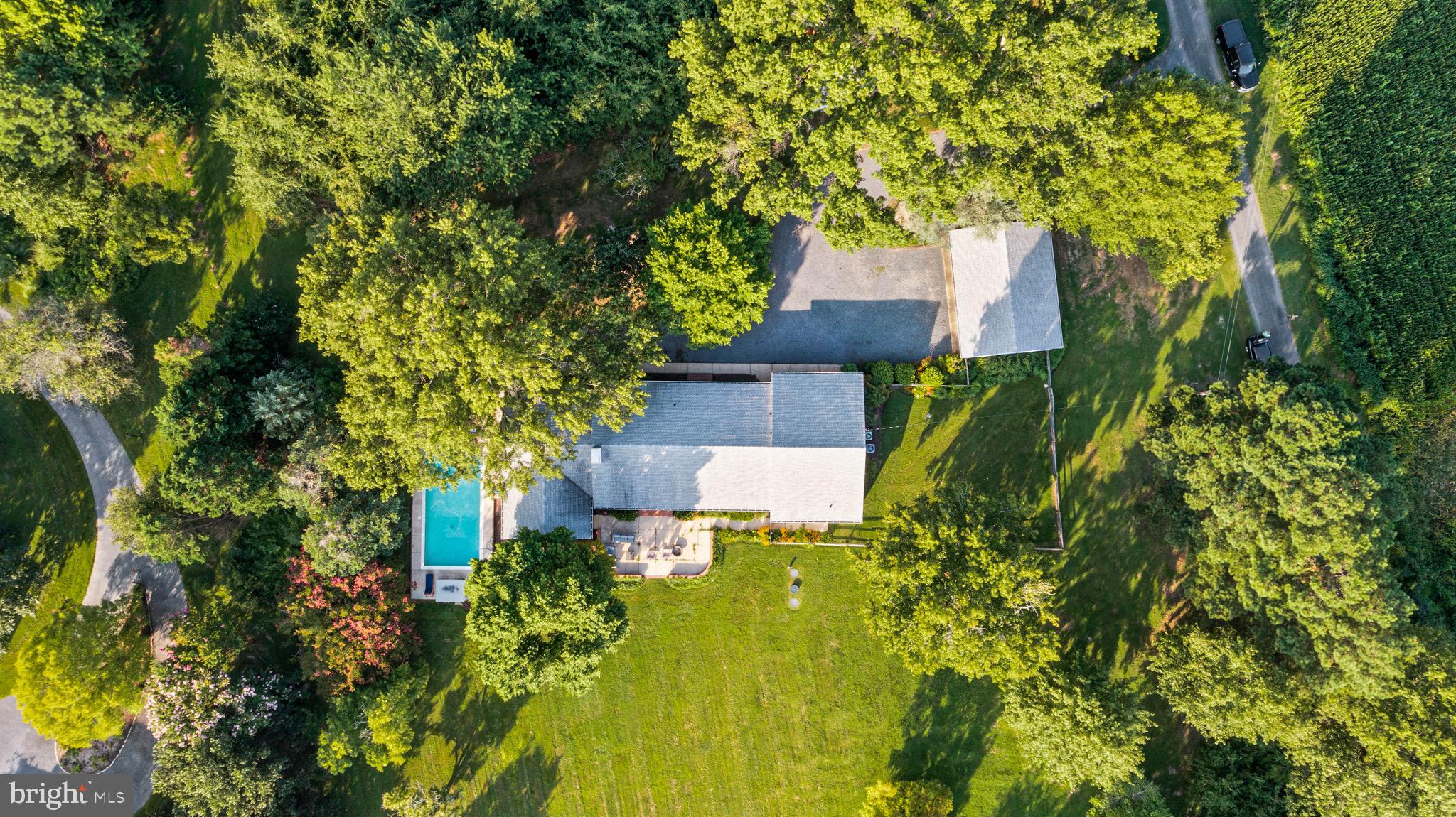 GOOSE NECK - Residential