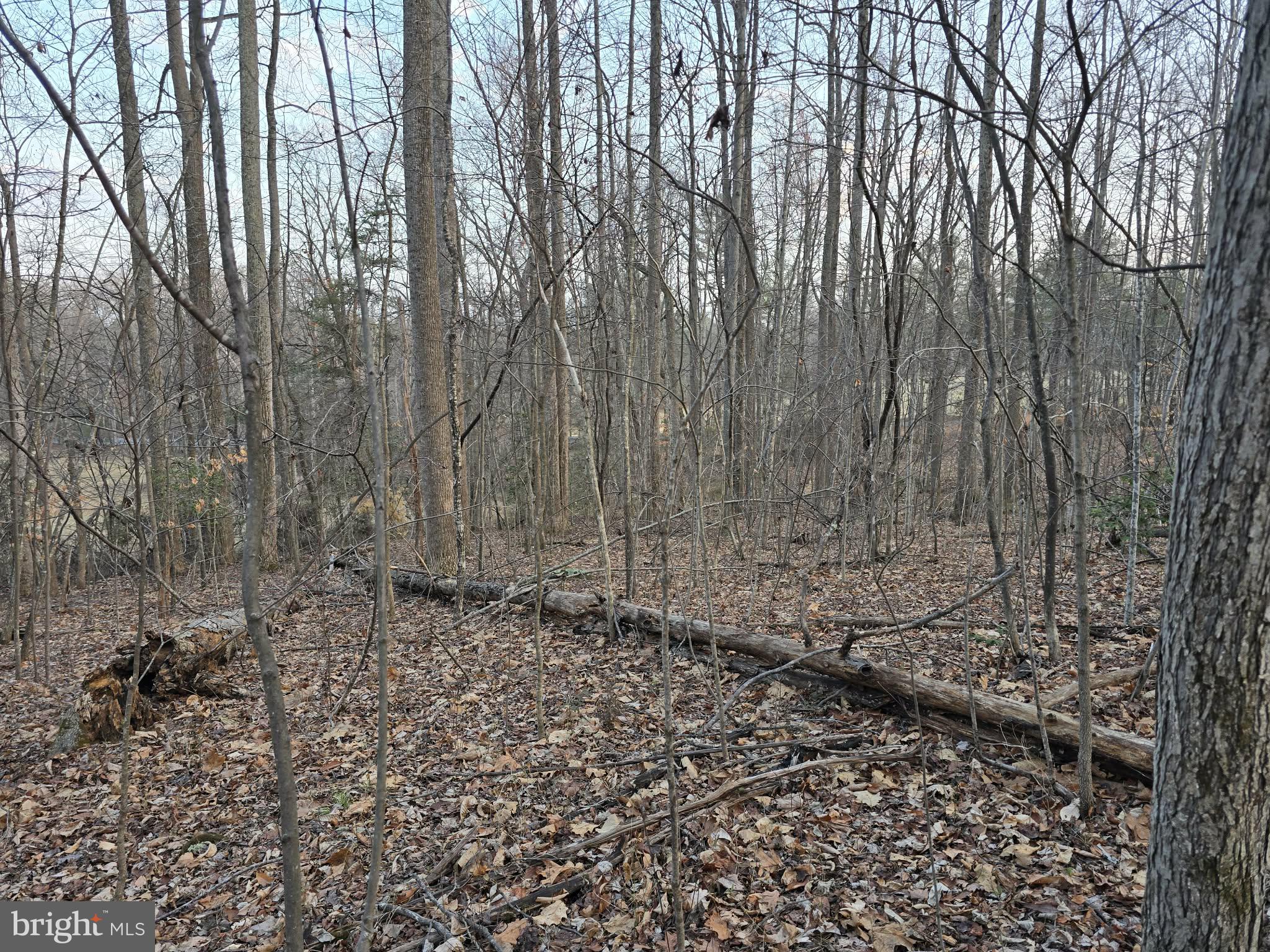 NONE AVAILABLE - Land