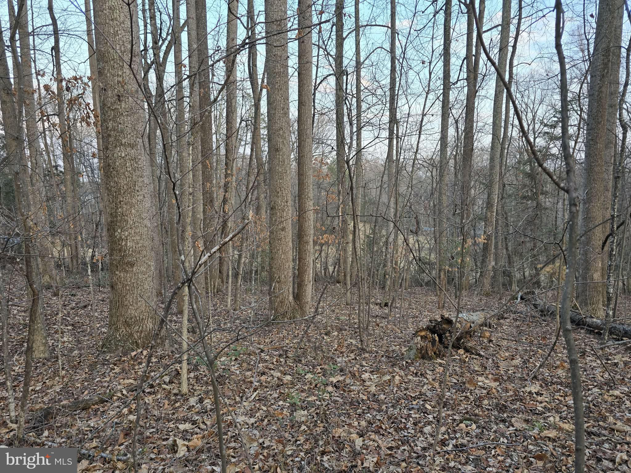 NONE AVAILABLE - Land