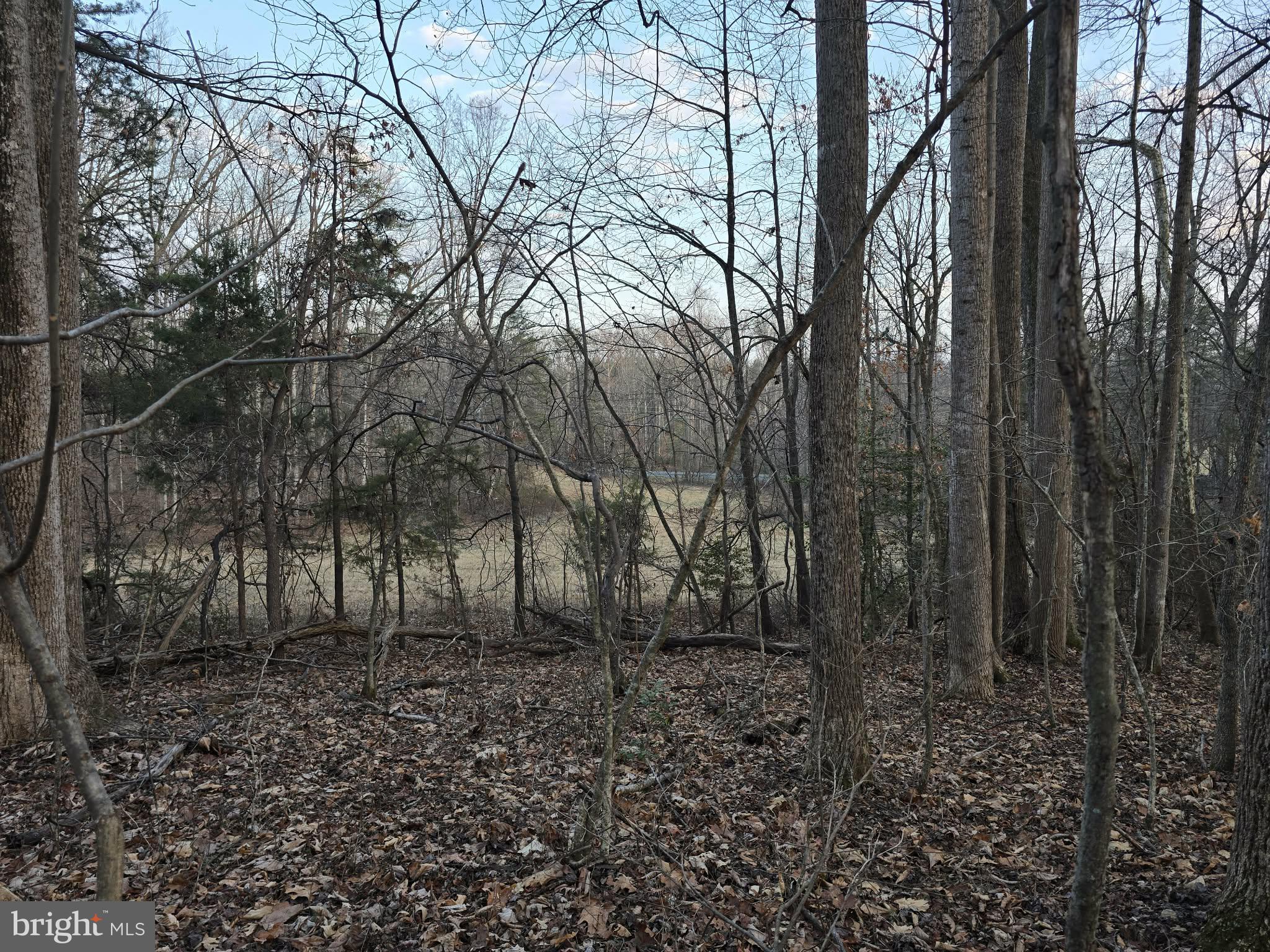 NONE AVAILABLE - Land