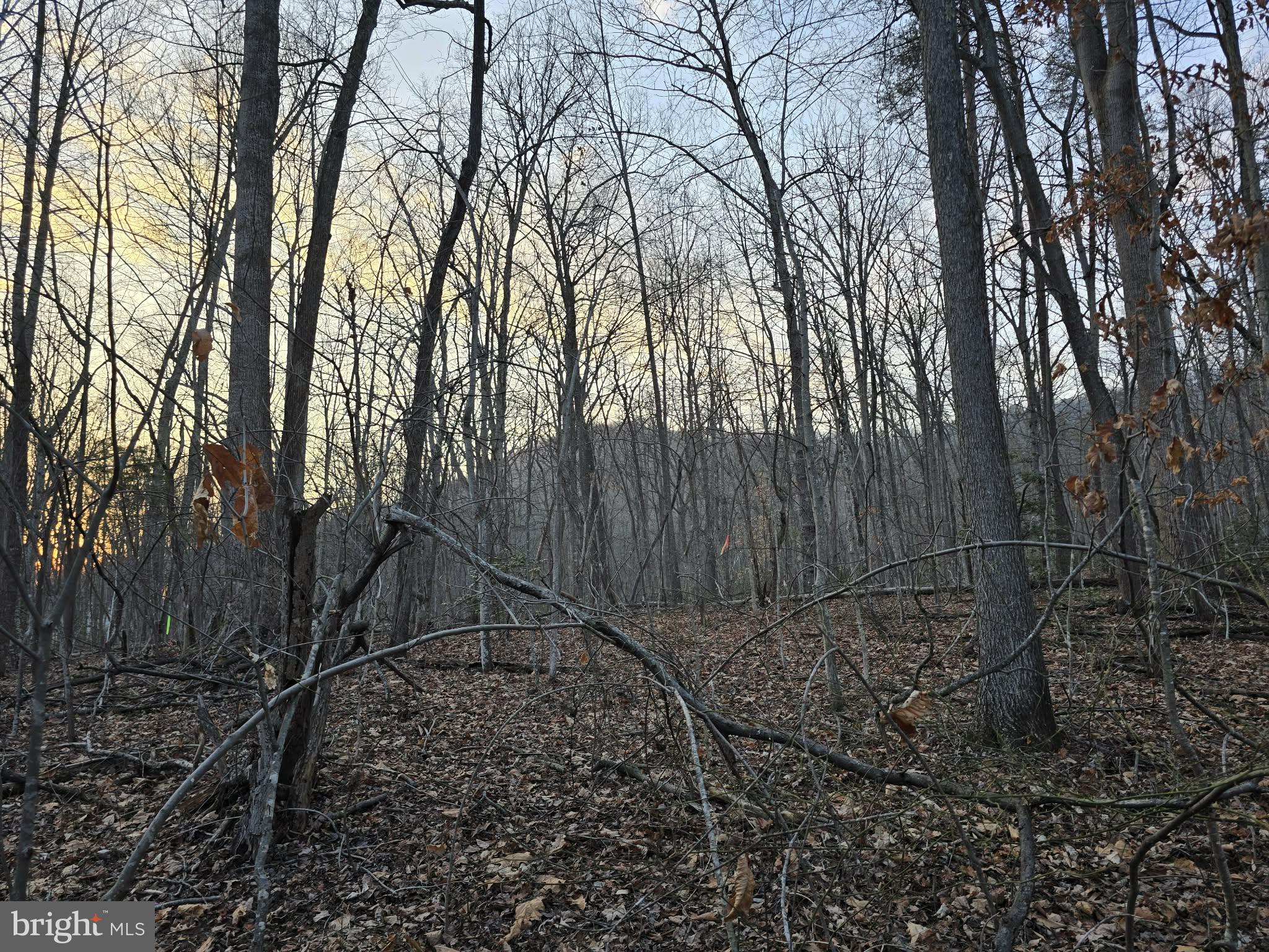 NONE AVAILABLE - Land