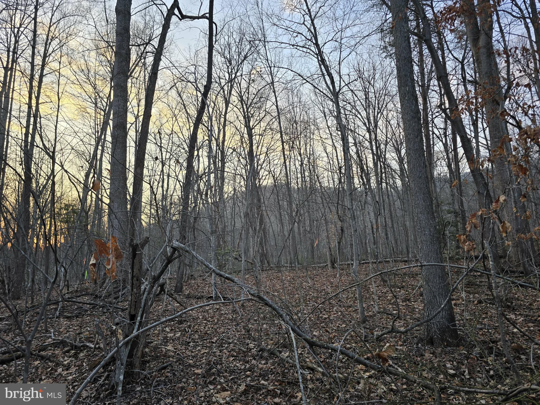 NONE AVAILABLE - Land