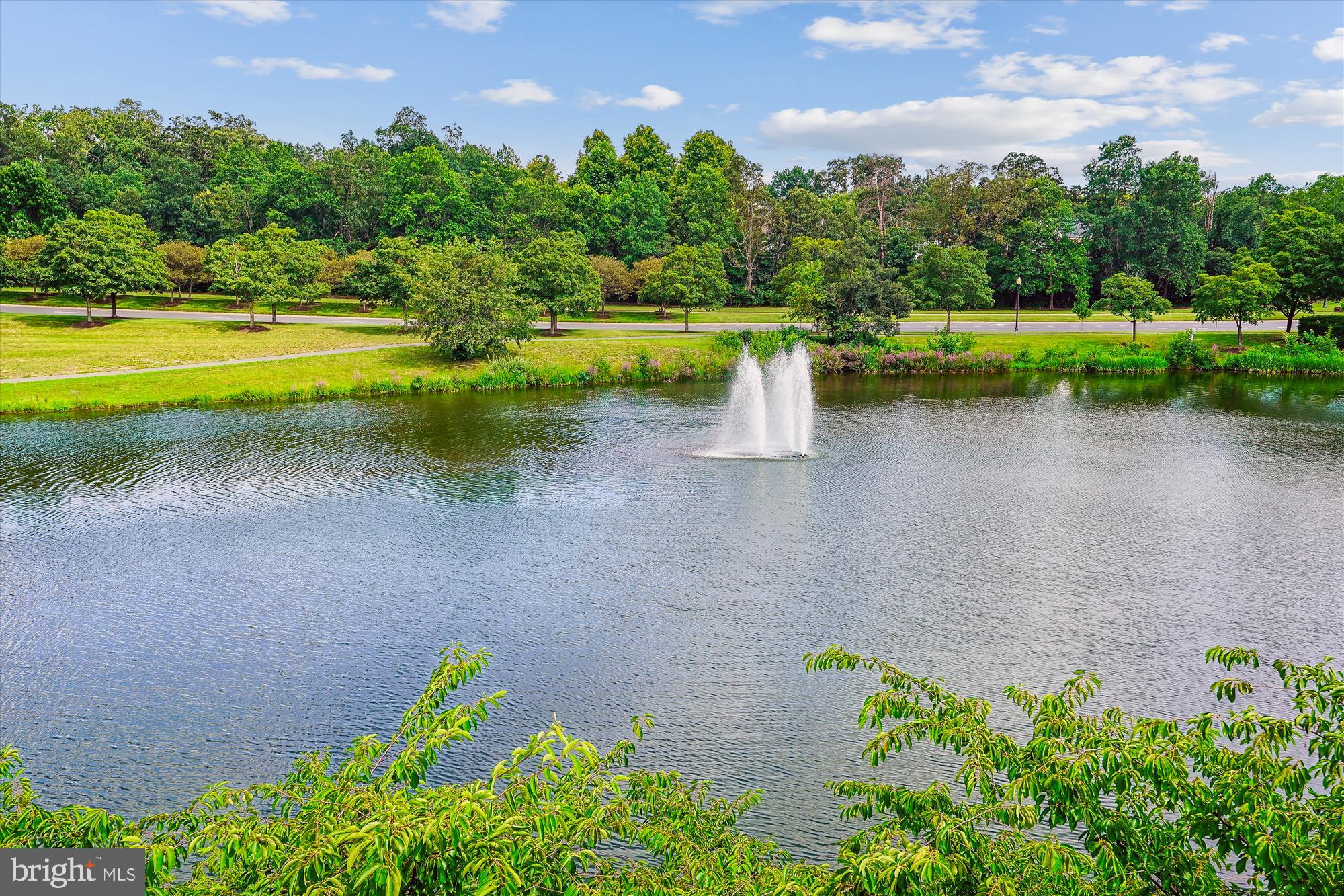 LAKESIDE AT SOUTH RIDING - Residential