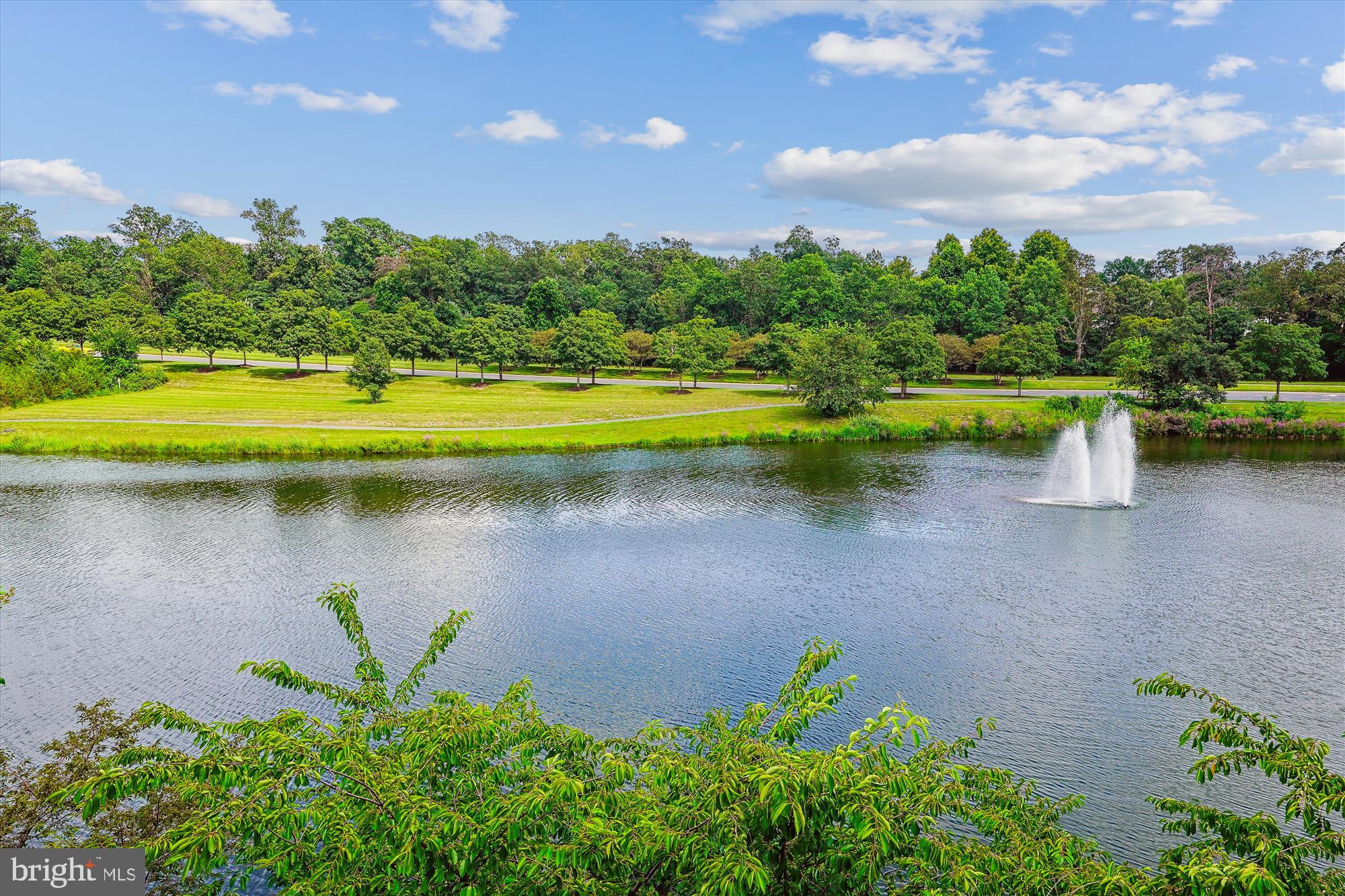 LAKESIDE AT SOUTH RIDING - Residential