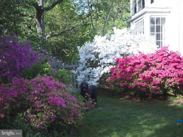MOUNT WASHINGTON - Residential