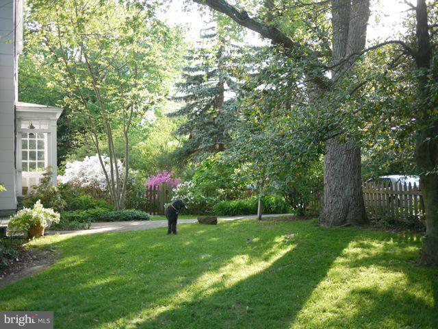 MOUNT WASHINGTON - Residential