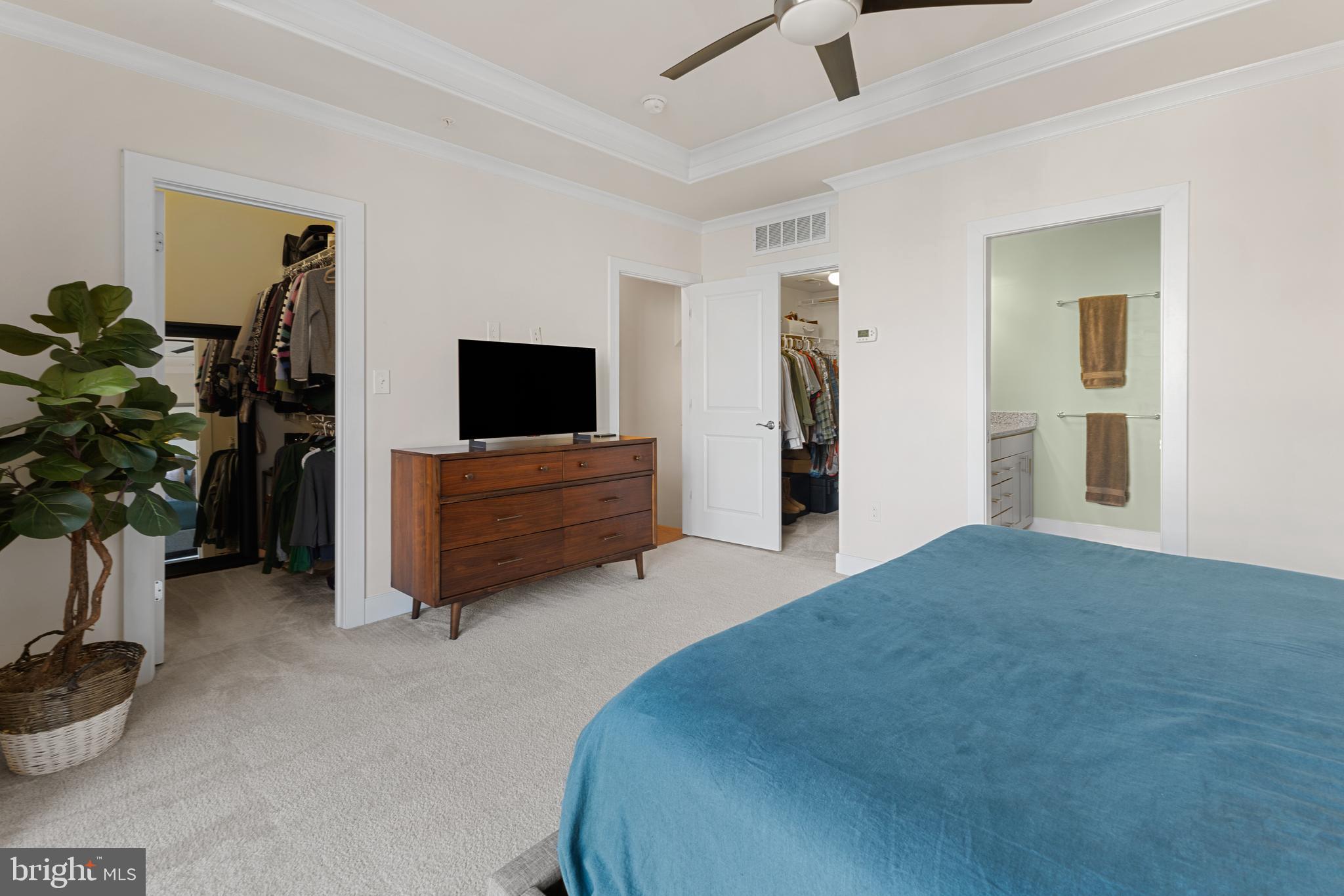 CAMERON PARK - Residential