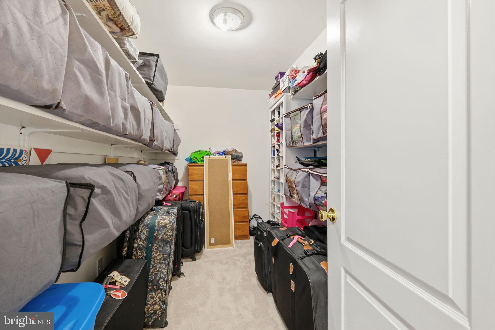 ANCIENT OAK - Residential