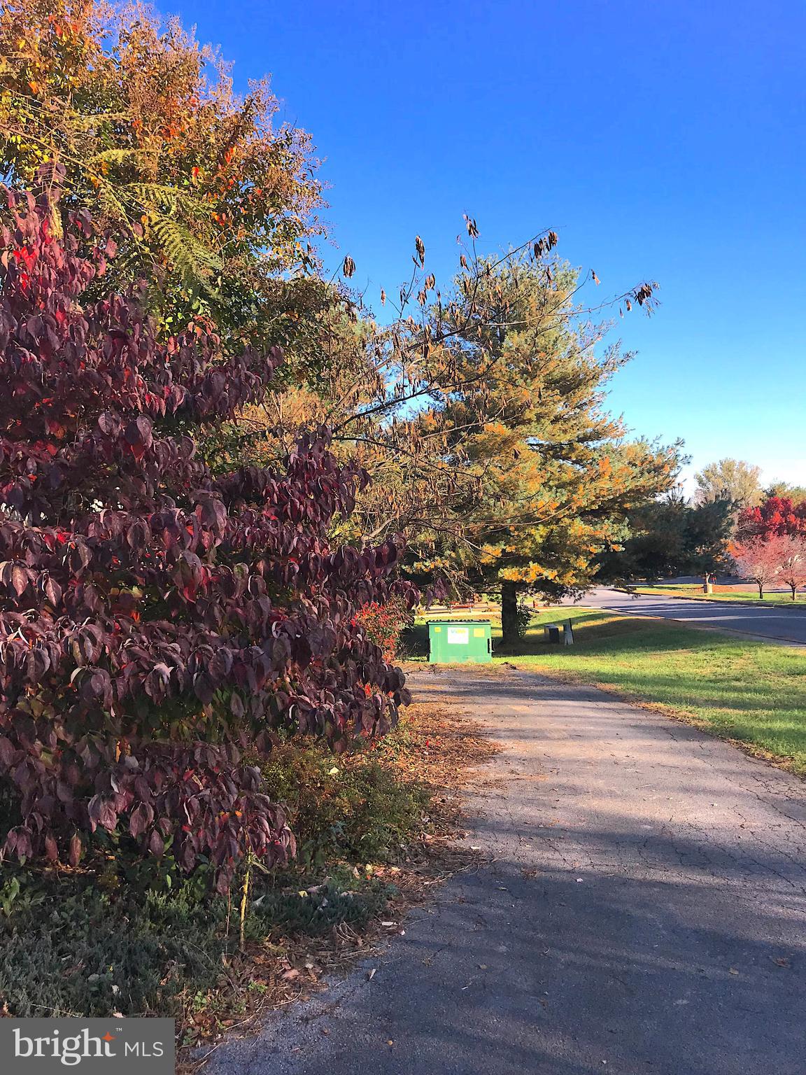 MADDEX - Commercial Lease