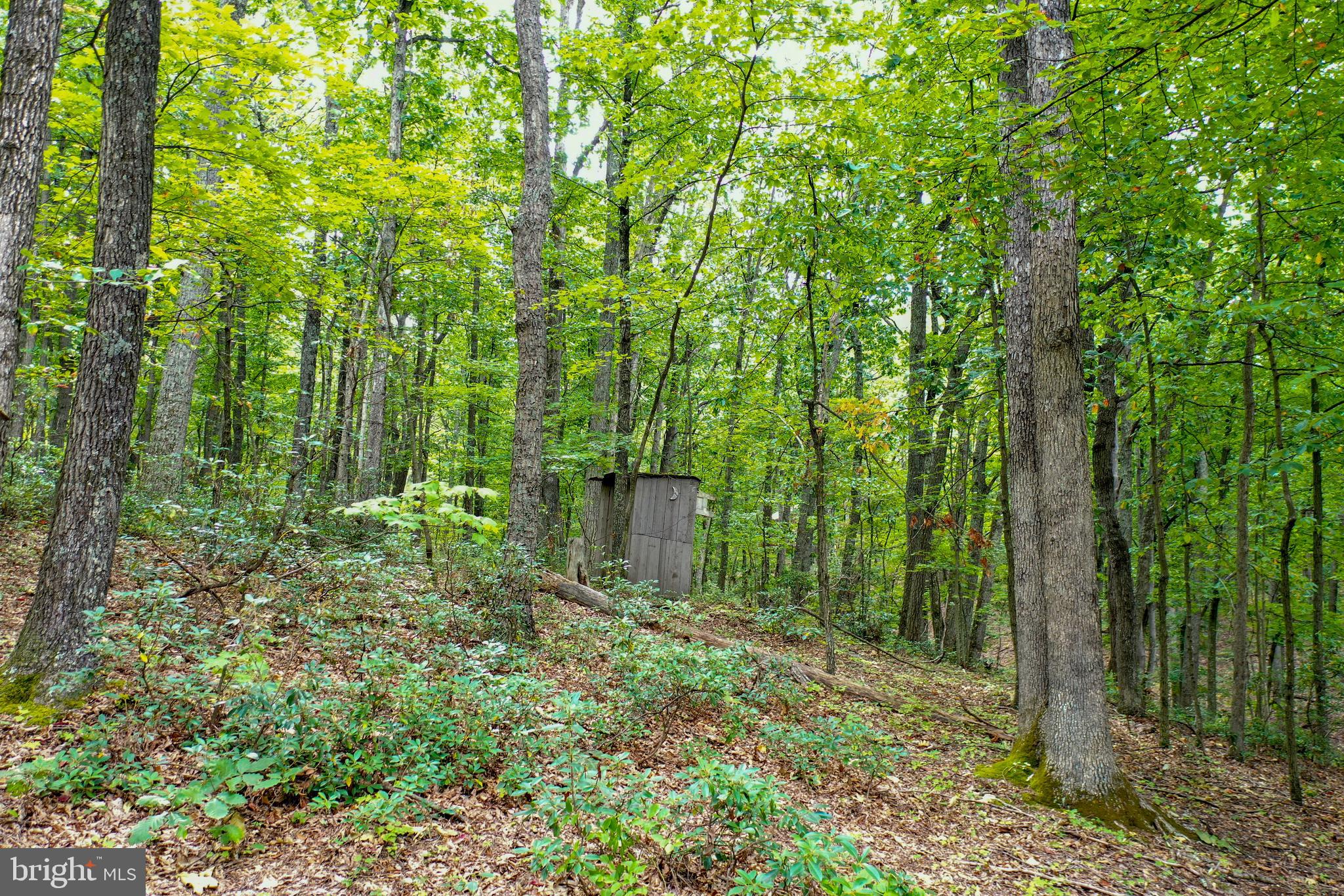 SHORT MOUNTAIN VILLAGE - Residential