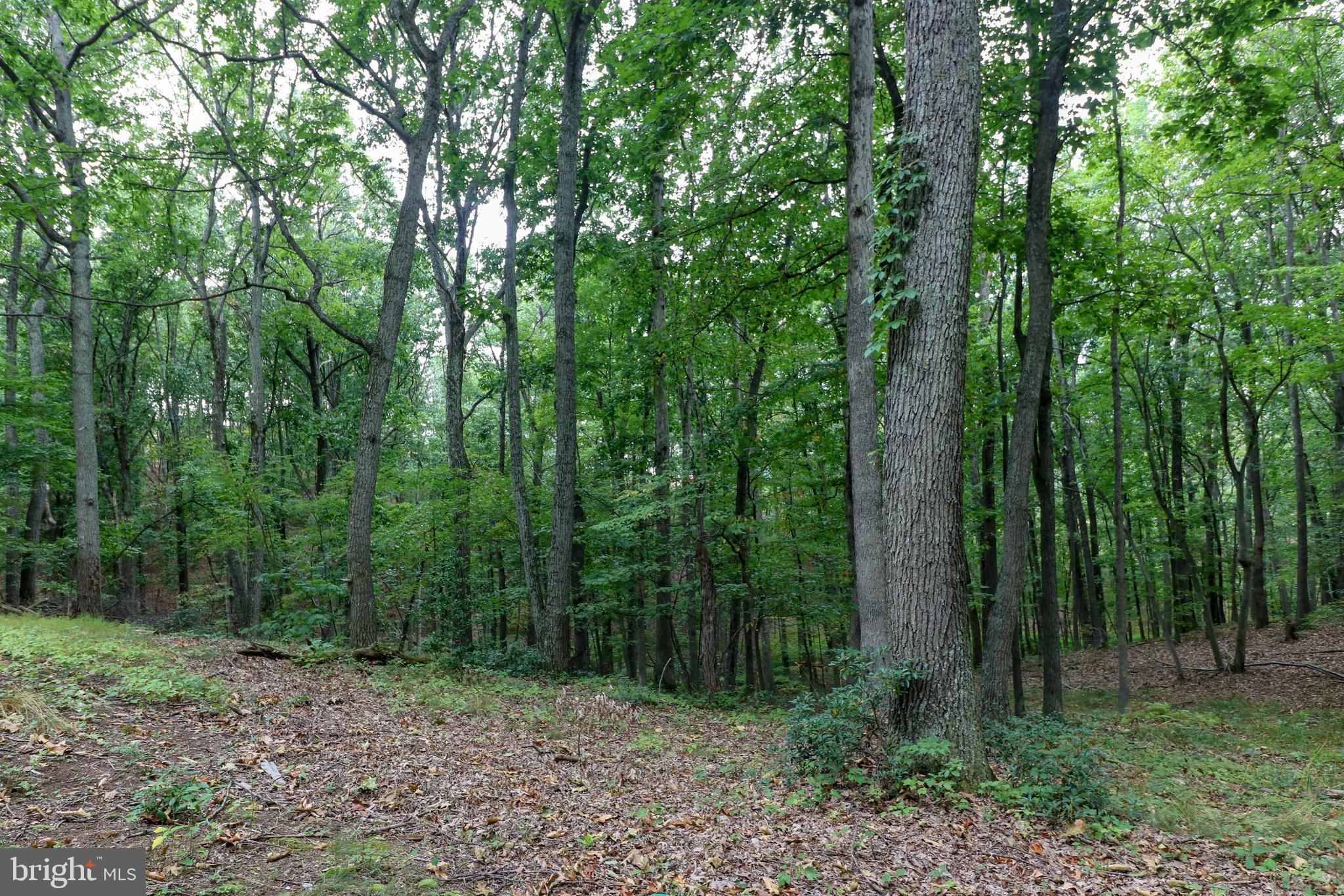 SHORT MOUNTAIN VILLAGE - Residential