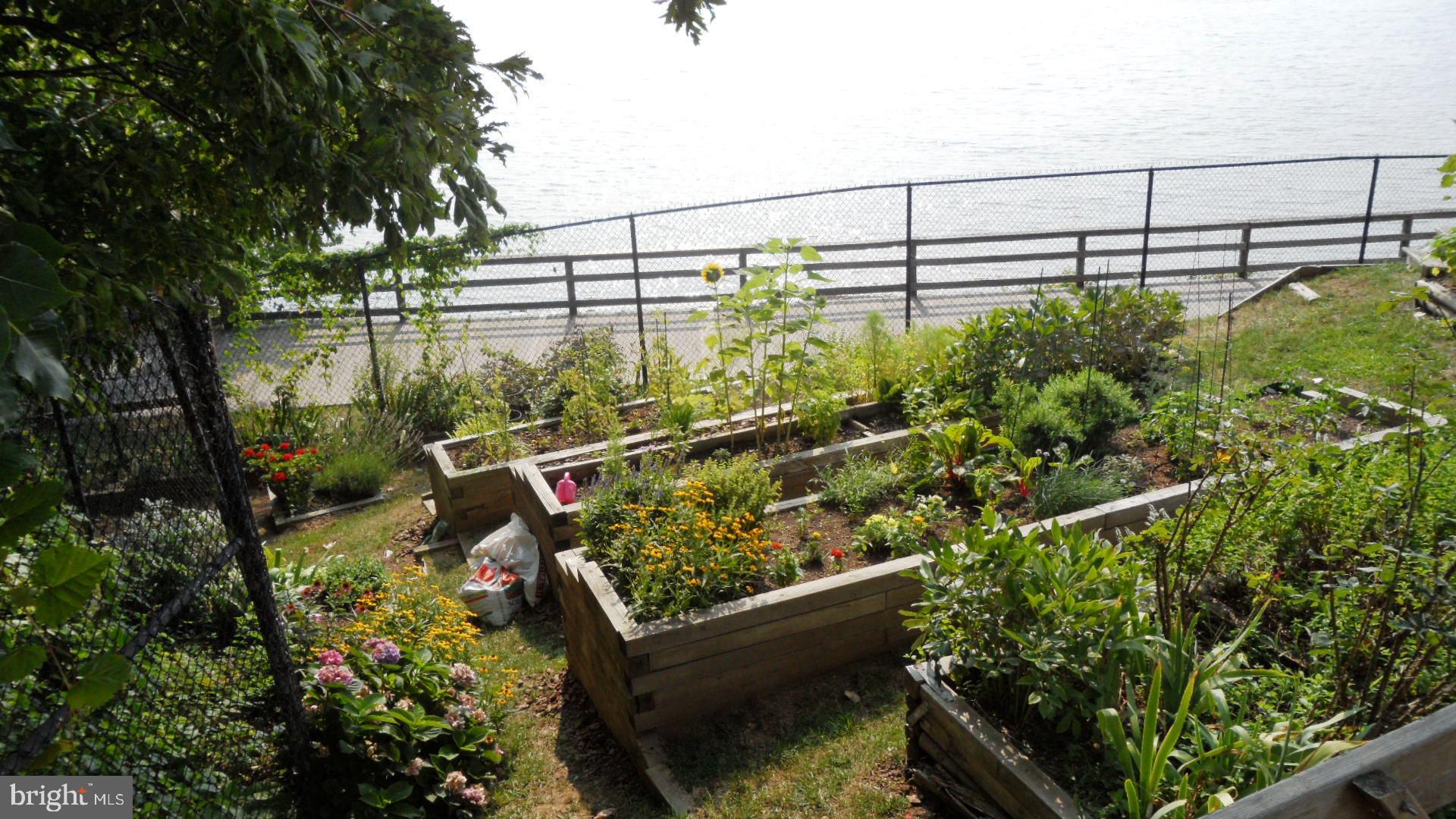 MARINA TOWERS - Residential