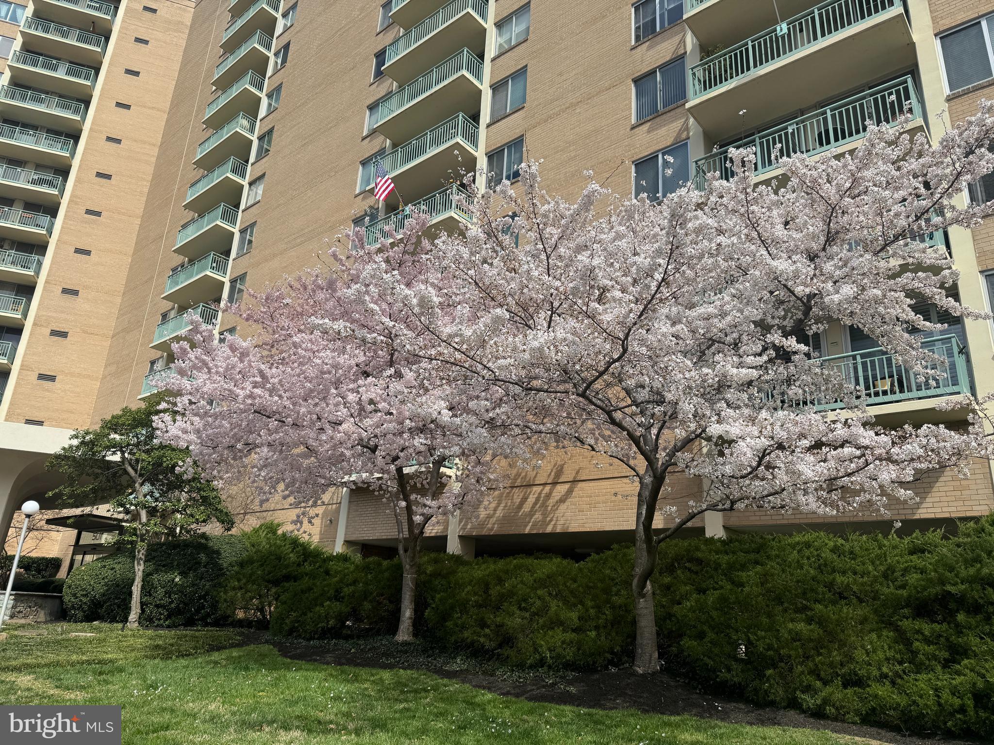 MARINA TOWERS - Residential