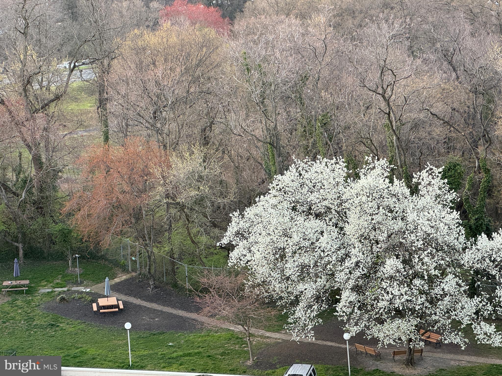 MARINA TOWERS - Residential