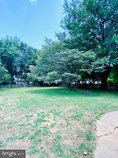 CLEARVIEW/CHATHAM HGTS - Residential Lease