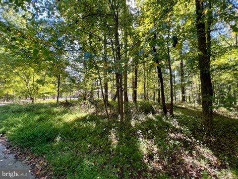 Vacant Land For Sale - 5531 Weywood Drive<br/> REISTERSTOWN, MD 21136