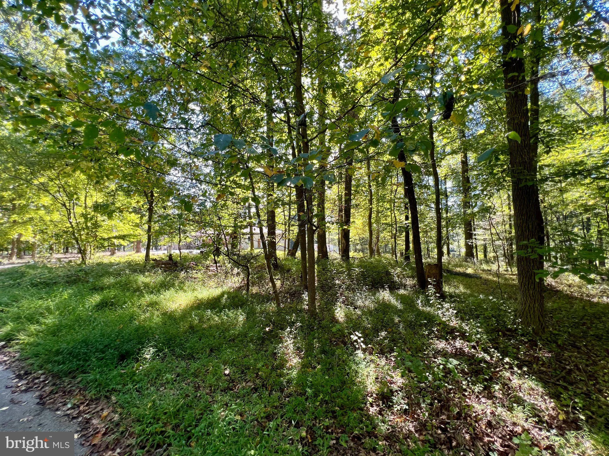 5531 Weywood Drive