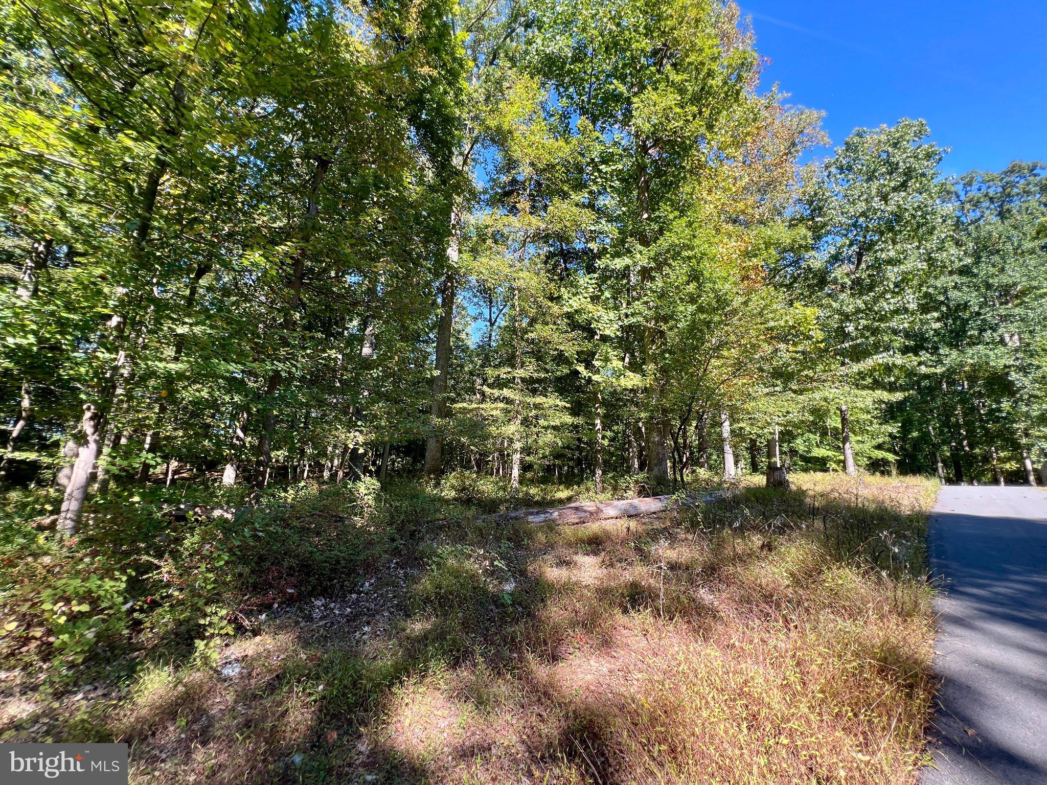 5531 WEYWOOD DRIVE