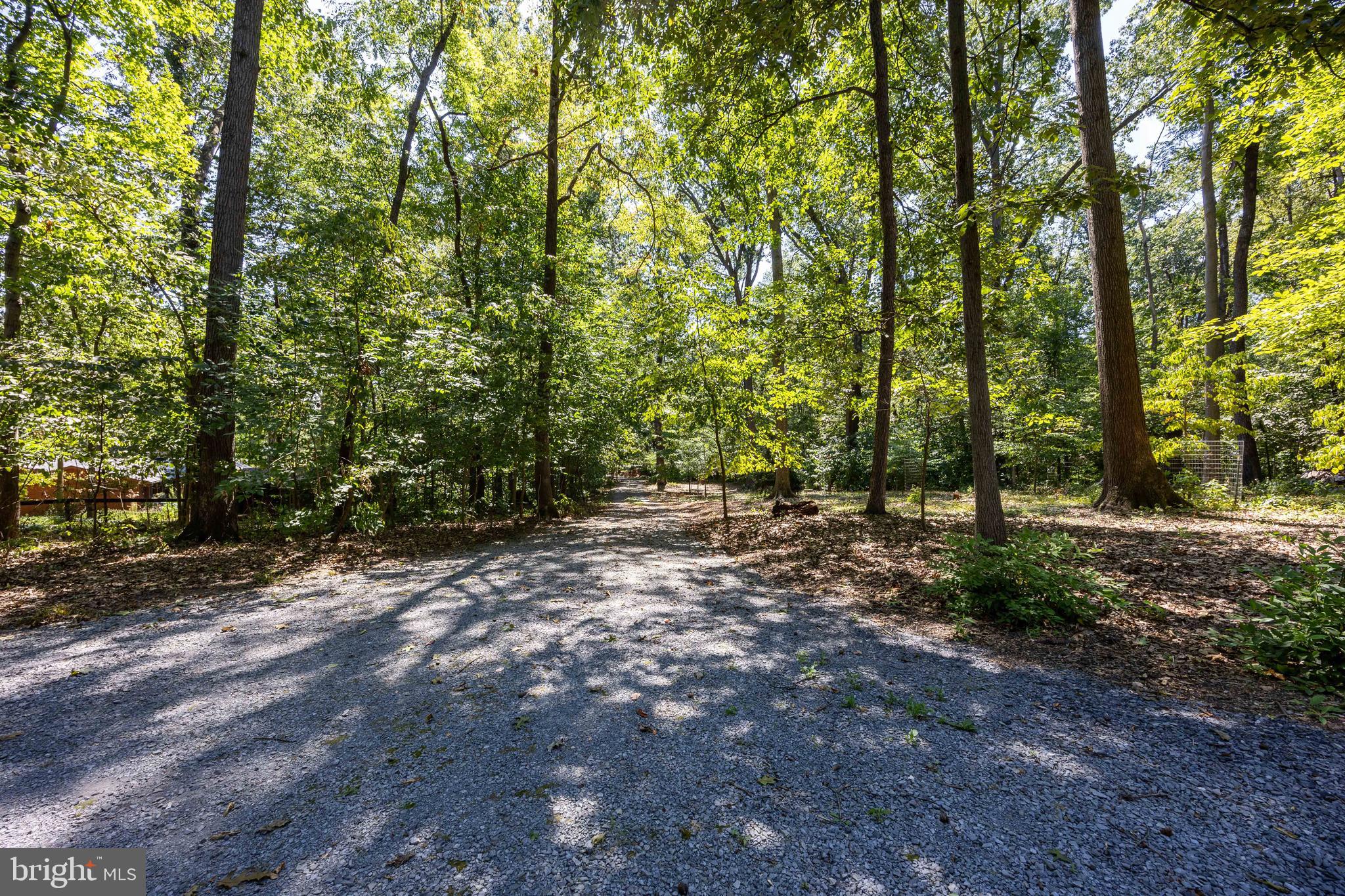 OAK TREE EAST - Residential