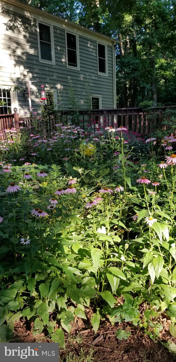 OAK TREE EAST - Residential