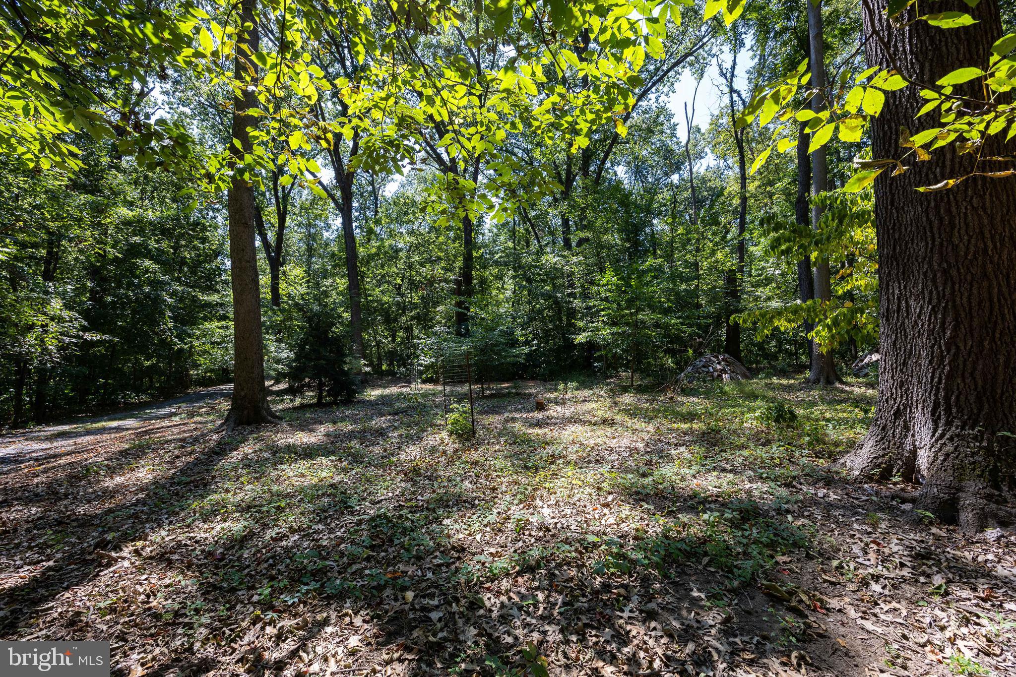 OAK TREE EAST - Residential